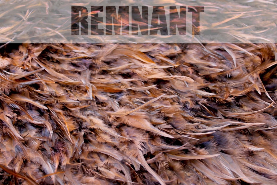 REMNANT - Walnut Brown Feathers on Silk Chiffon - 0.65m Piece