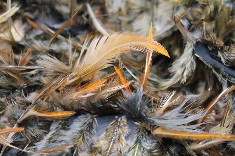 Brown Feathers on Silk Chiffon