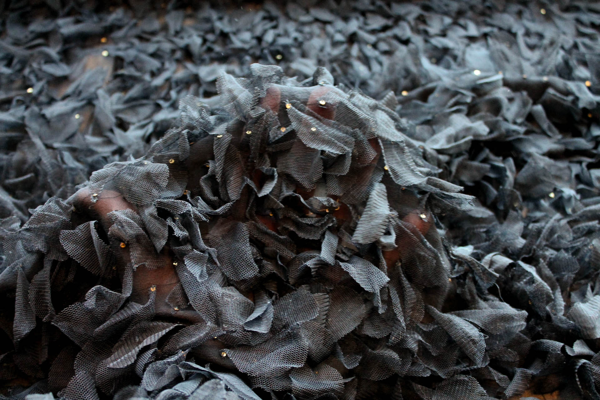 Petal Tulle on Silk Chiffon - Black fabric, image 3 of 6