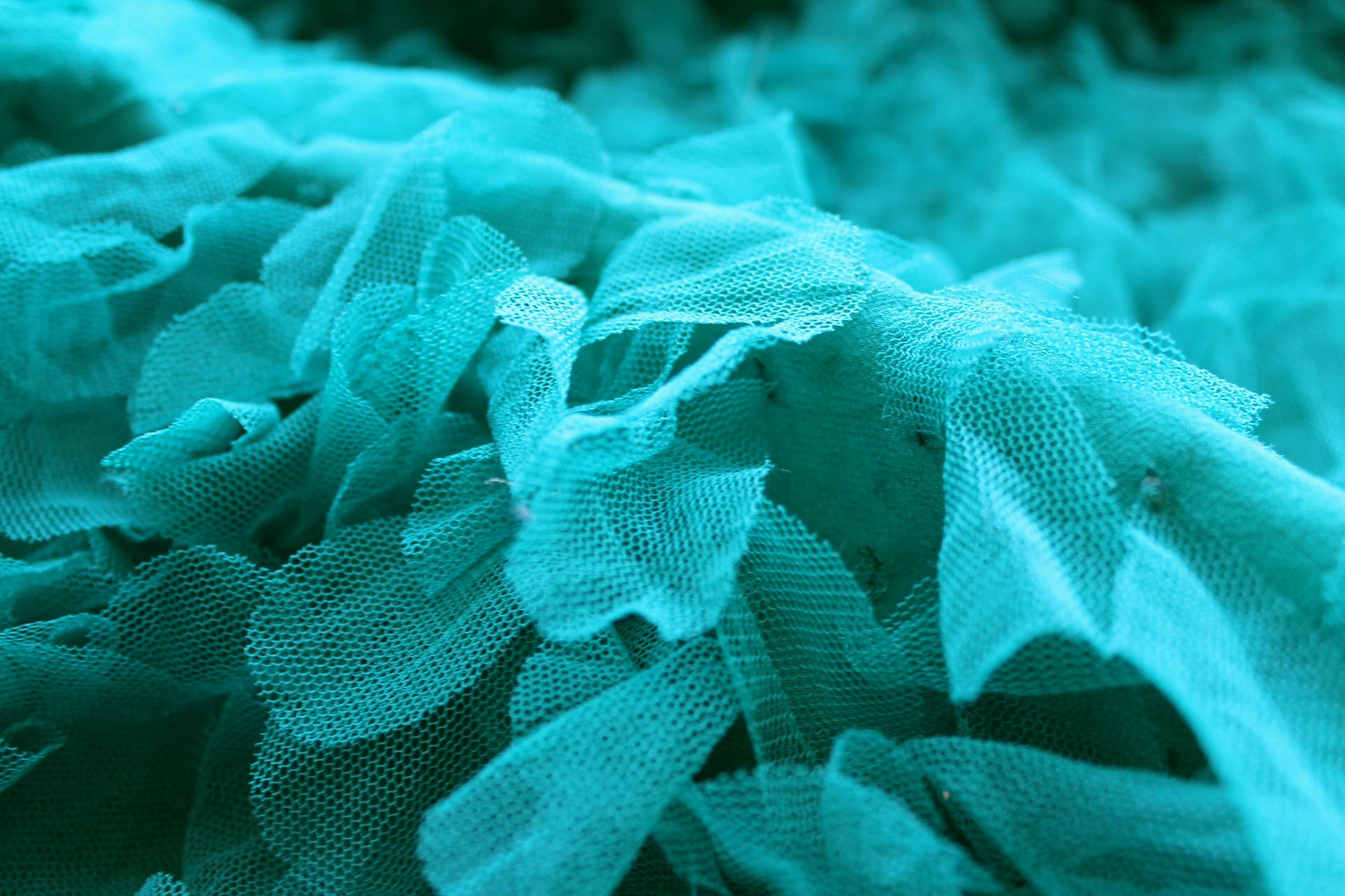Petal Tulle on Silk Chiffon - Peacock Green fabric, image 5 of 6