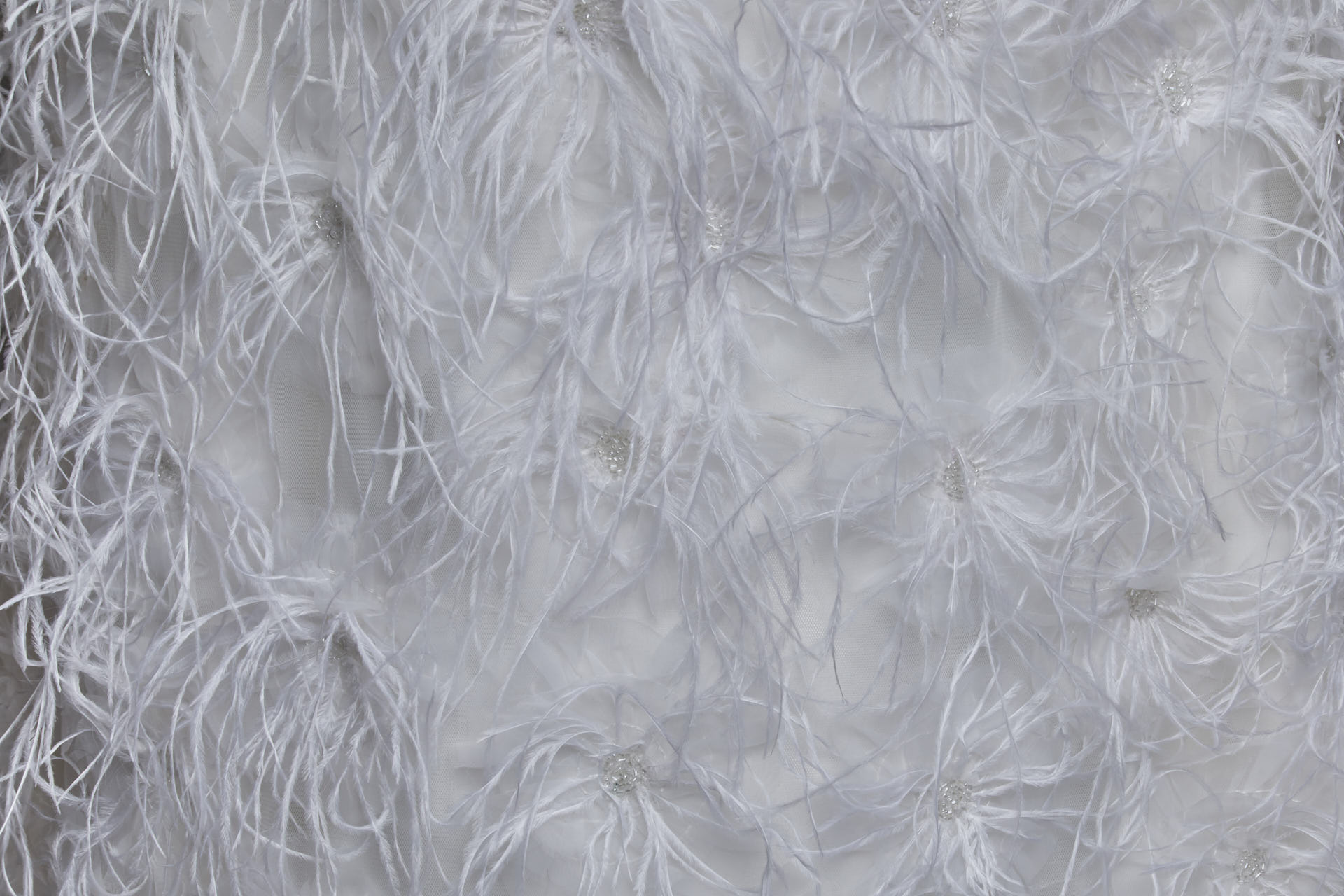 Beads and Ostrich Feathers on Tulle - White fabric, image 4 of 5