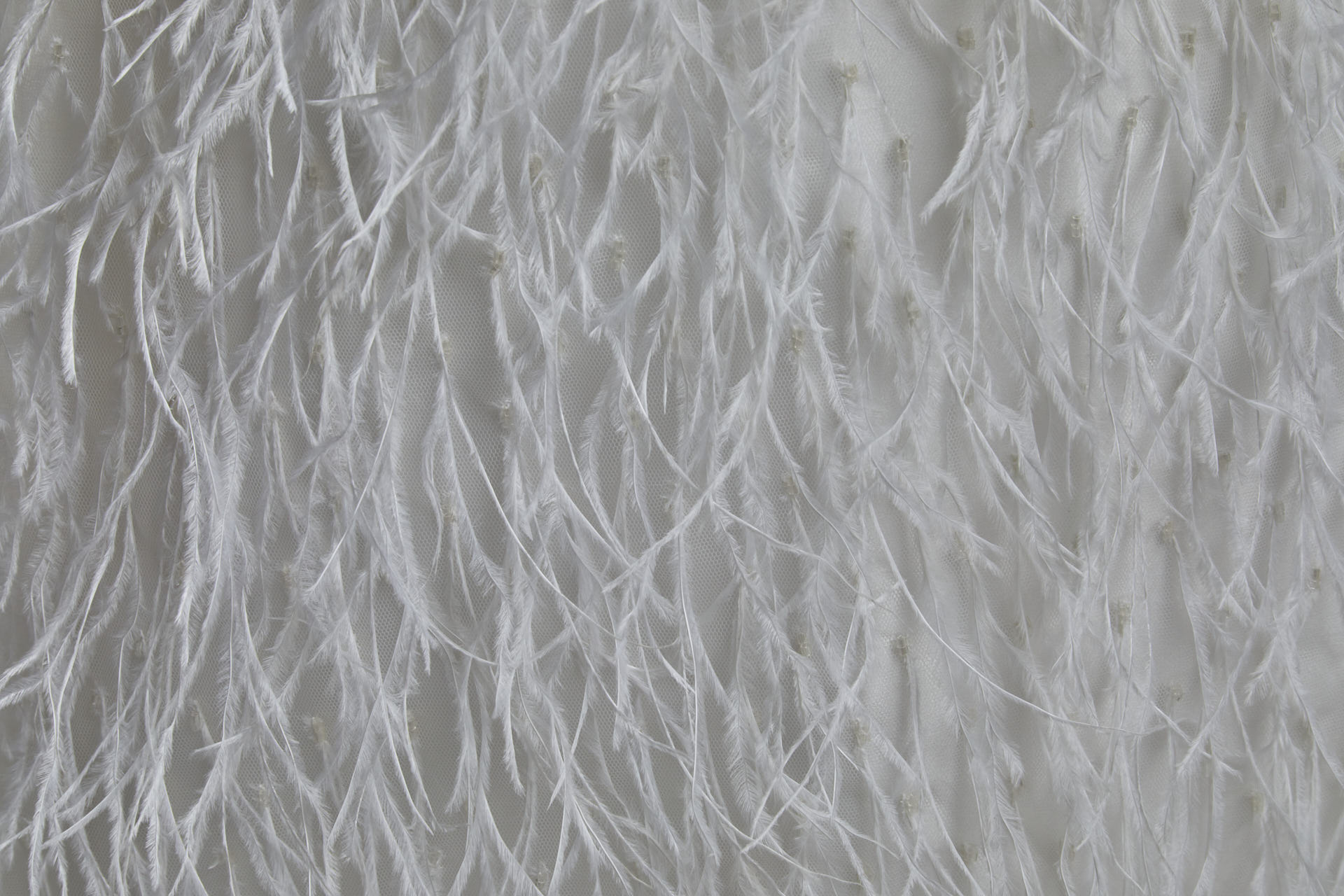 Beads and Ostrich Feathers on Tulle - Ivory fabric