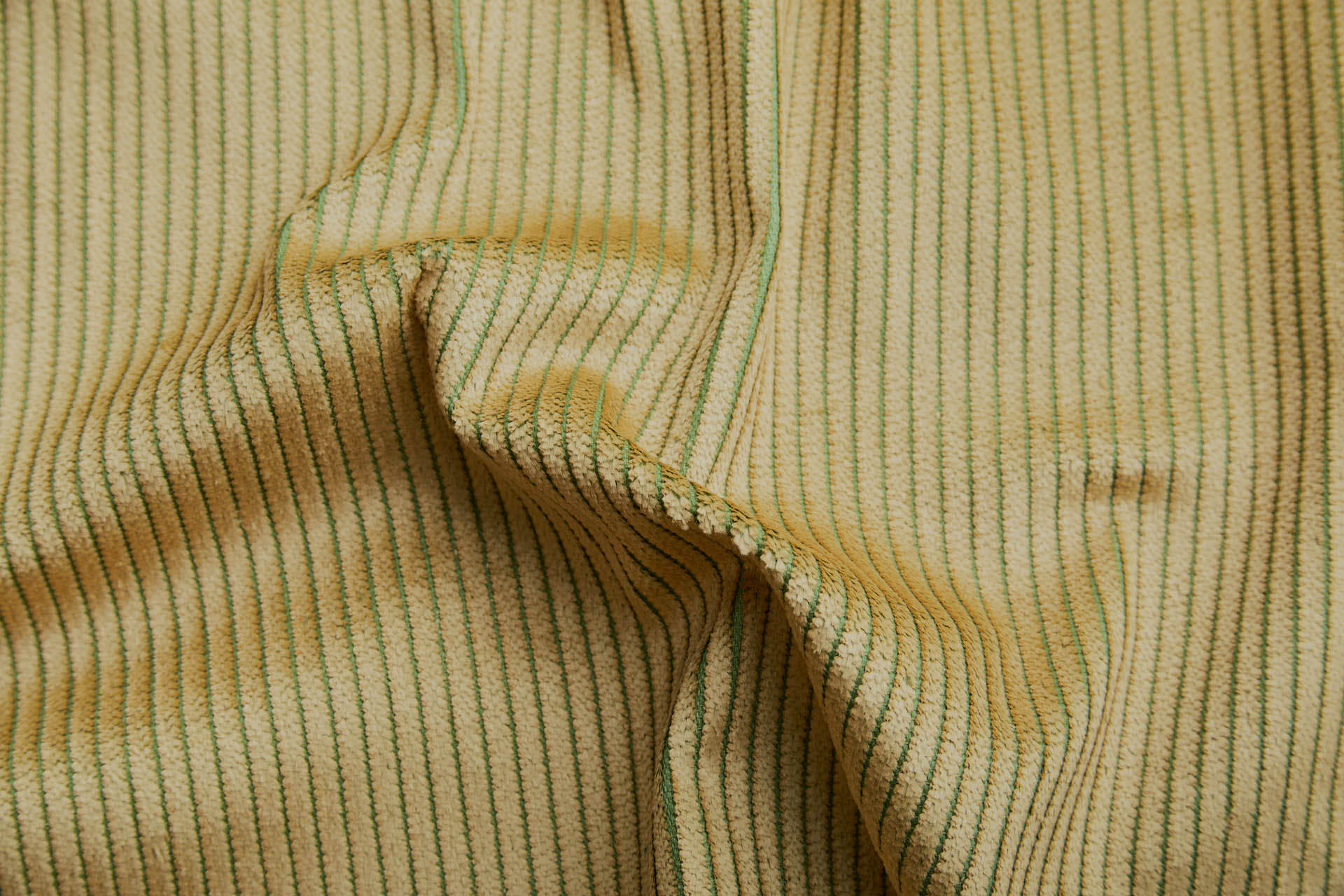 Wide Rib Corduroy - Mustard on Leaf Green fabric, image 2 of 7
