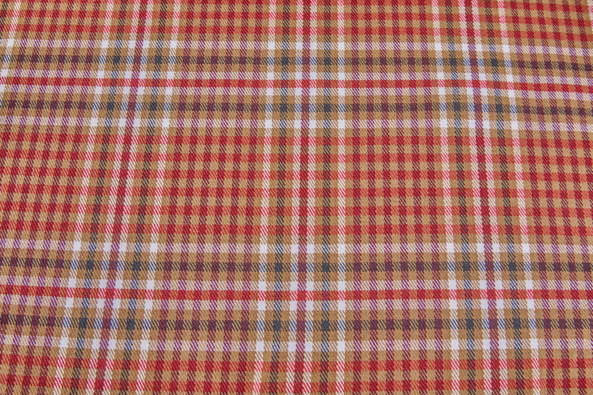 Stretch Tartan - Ginger Brown, Red, Merlot, White, Black fabric, image 6 of 8