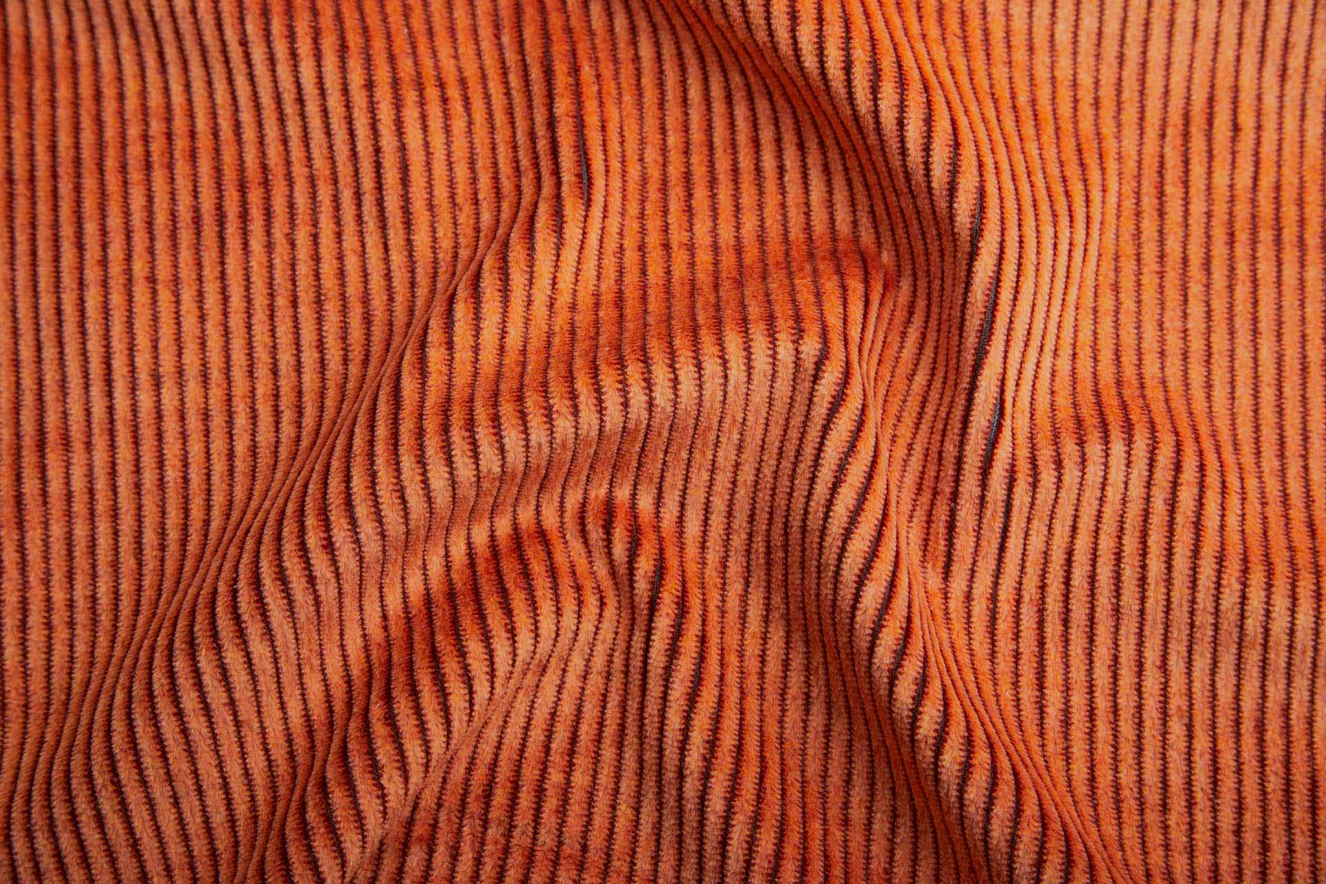Wide Rib Corduroy - Burnt Orange fabric, image 2 of 7