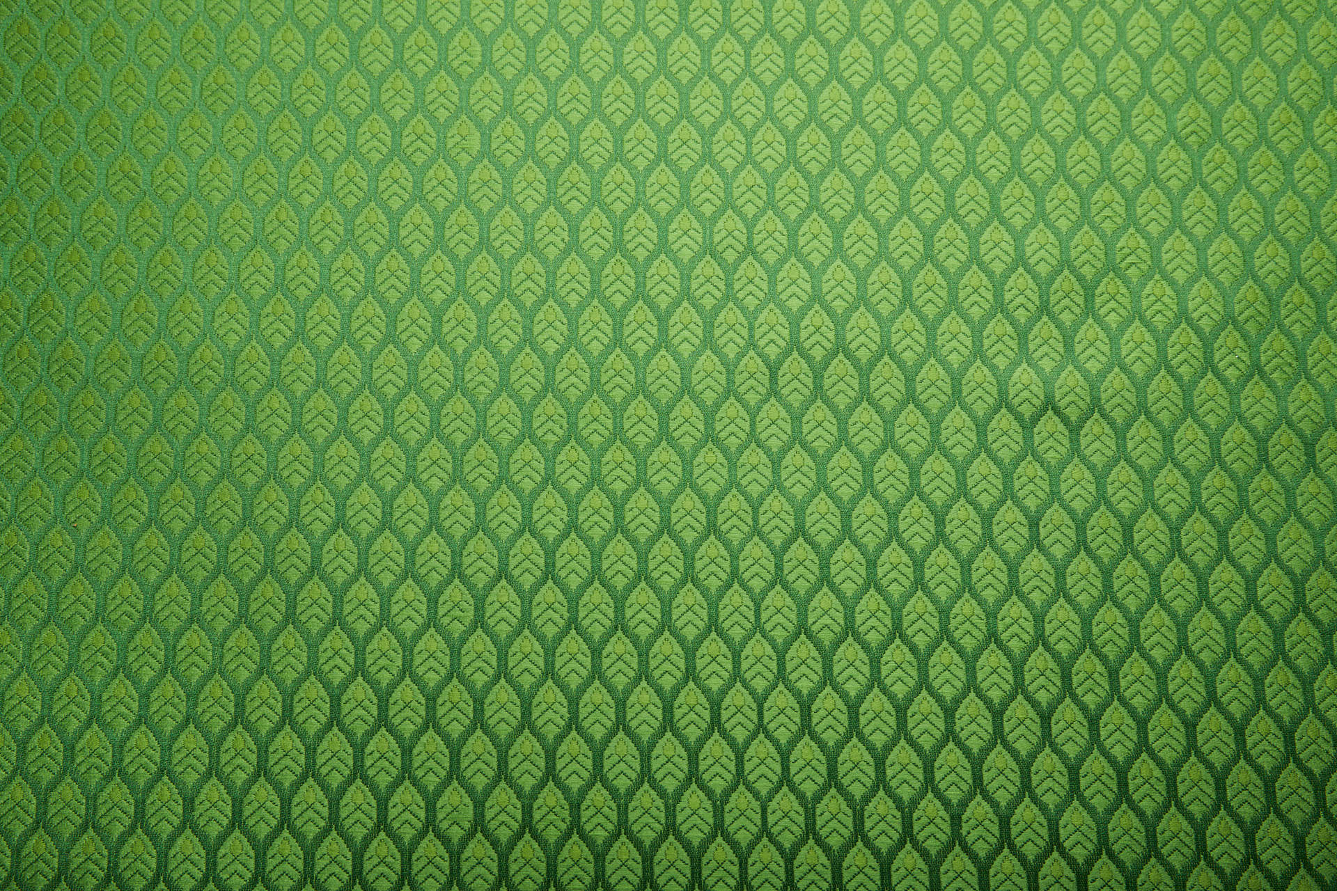 Banaras Brocade - Green / Green Leaves fabric, image 9 of 9