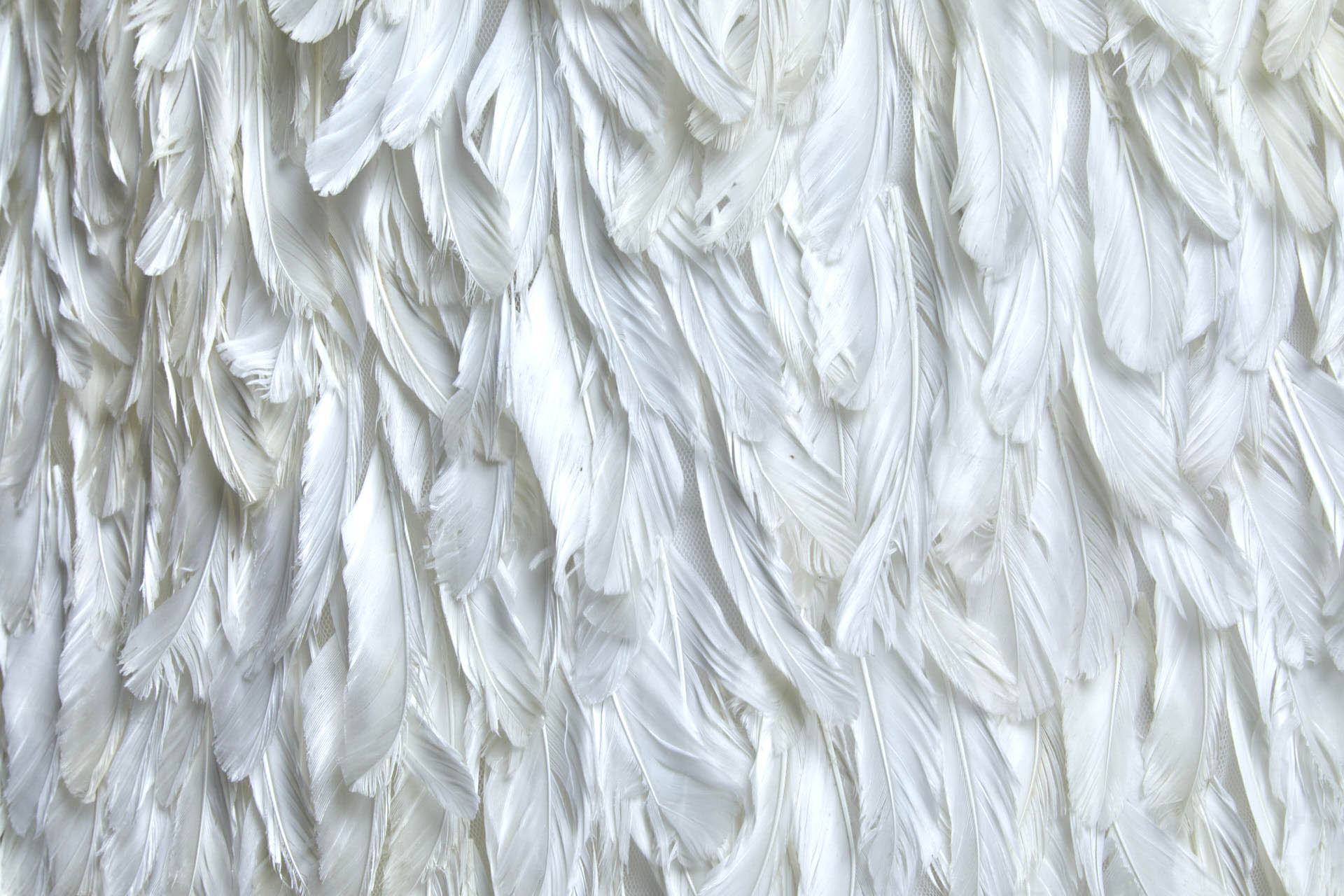 Ivory Goose Feather on Tulle fabric, image 6 of 6