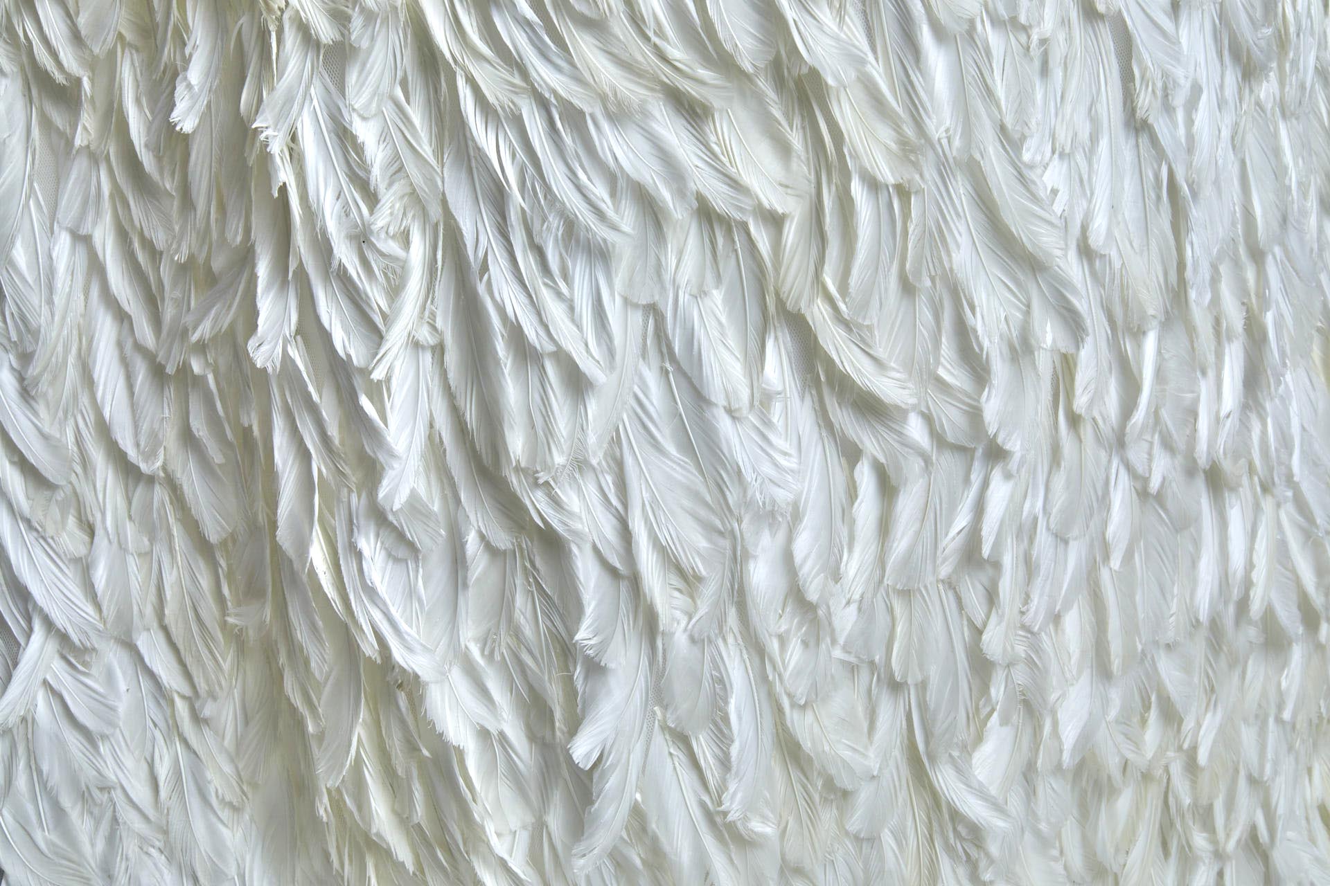 Ivory Goose Feather on Tulle fabric, image 2 of 6