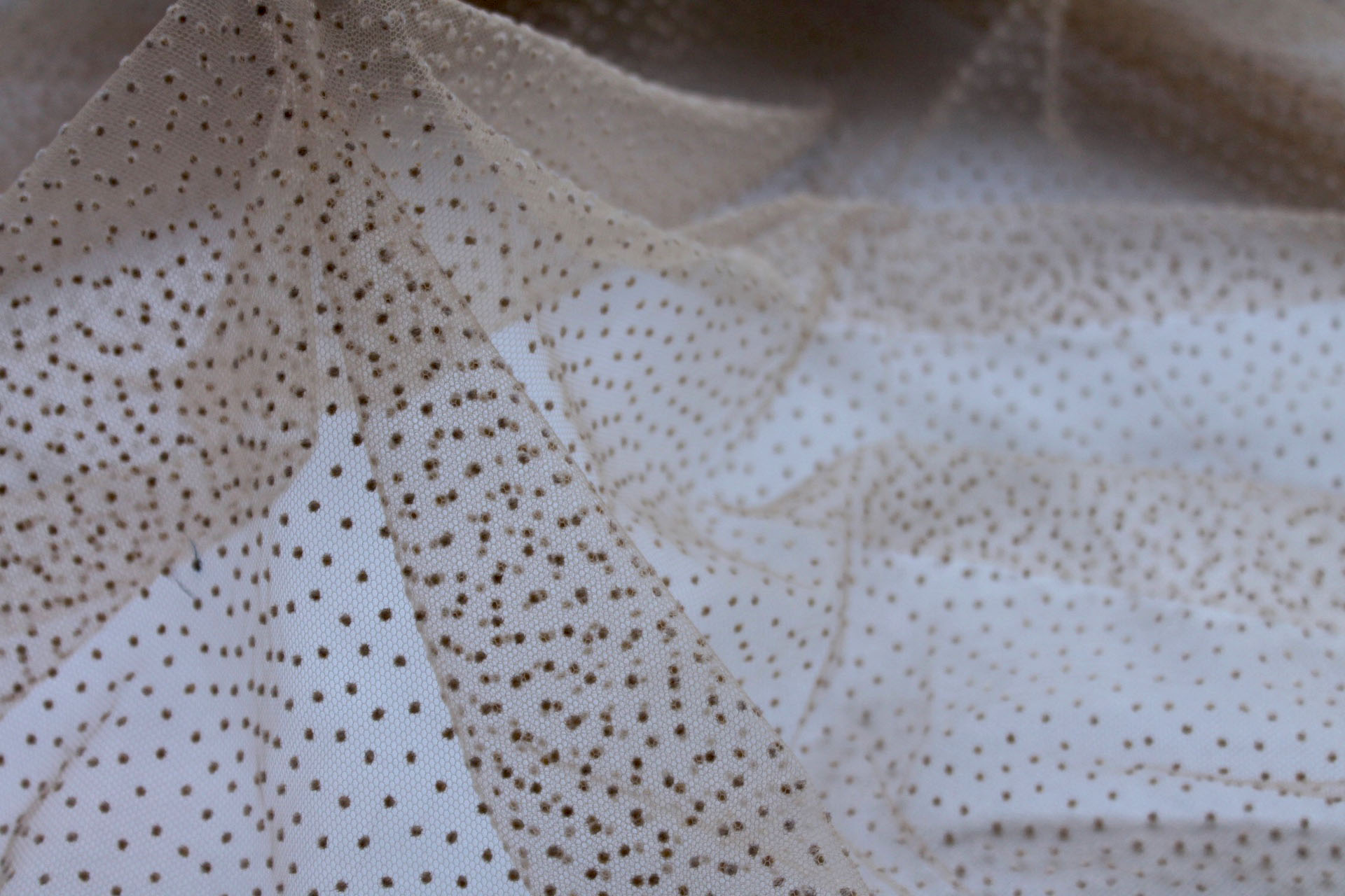 Flock Spot / Dot Tulle - Nude fabric, image 4 of 6