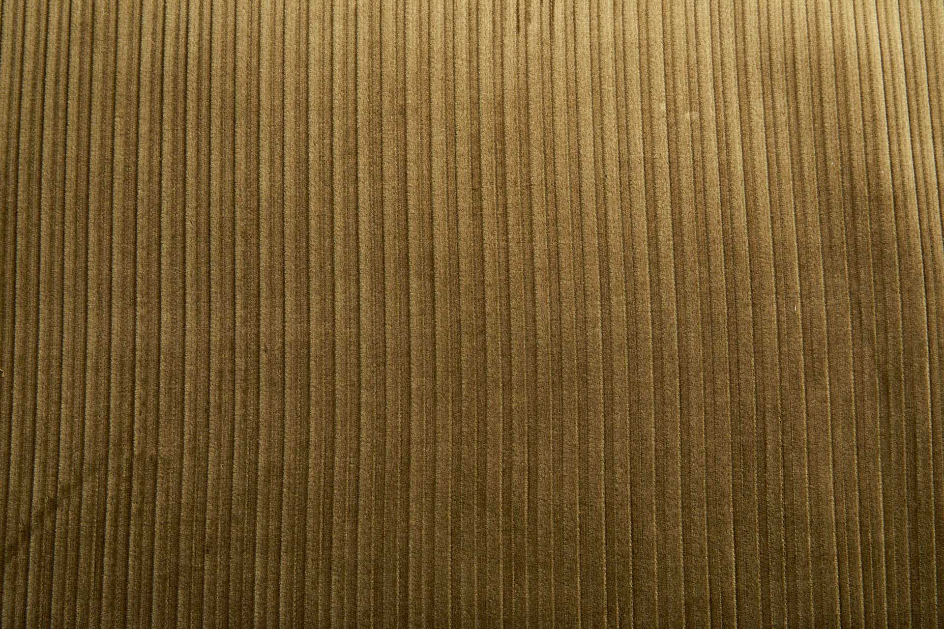Wide Rib Corduroy - Harvest Green fabric, image 2 of 7