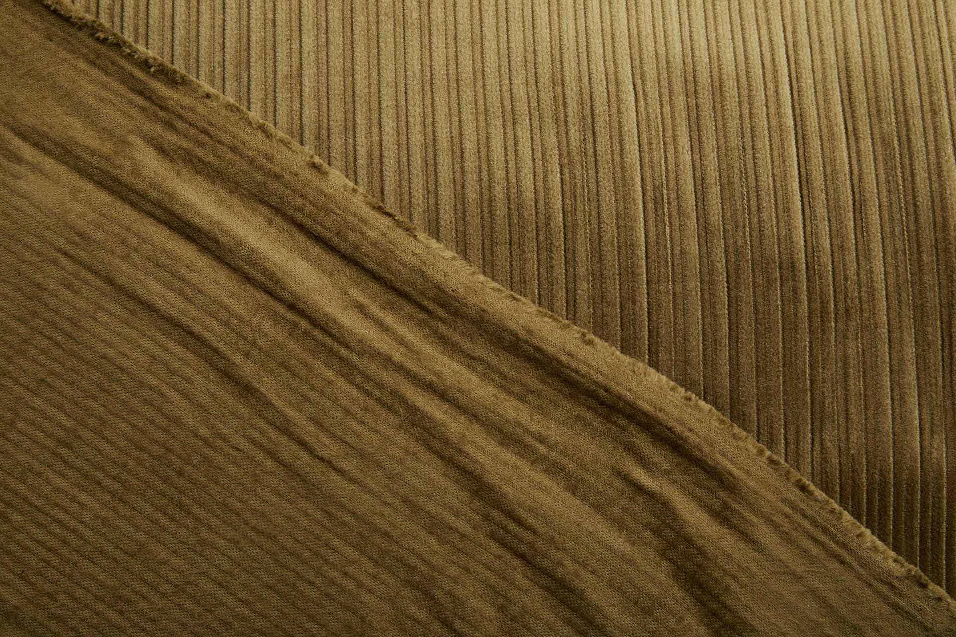 Wide Rib Corduroy - Harvest Green fabric, image 6 of 7