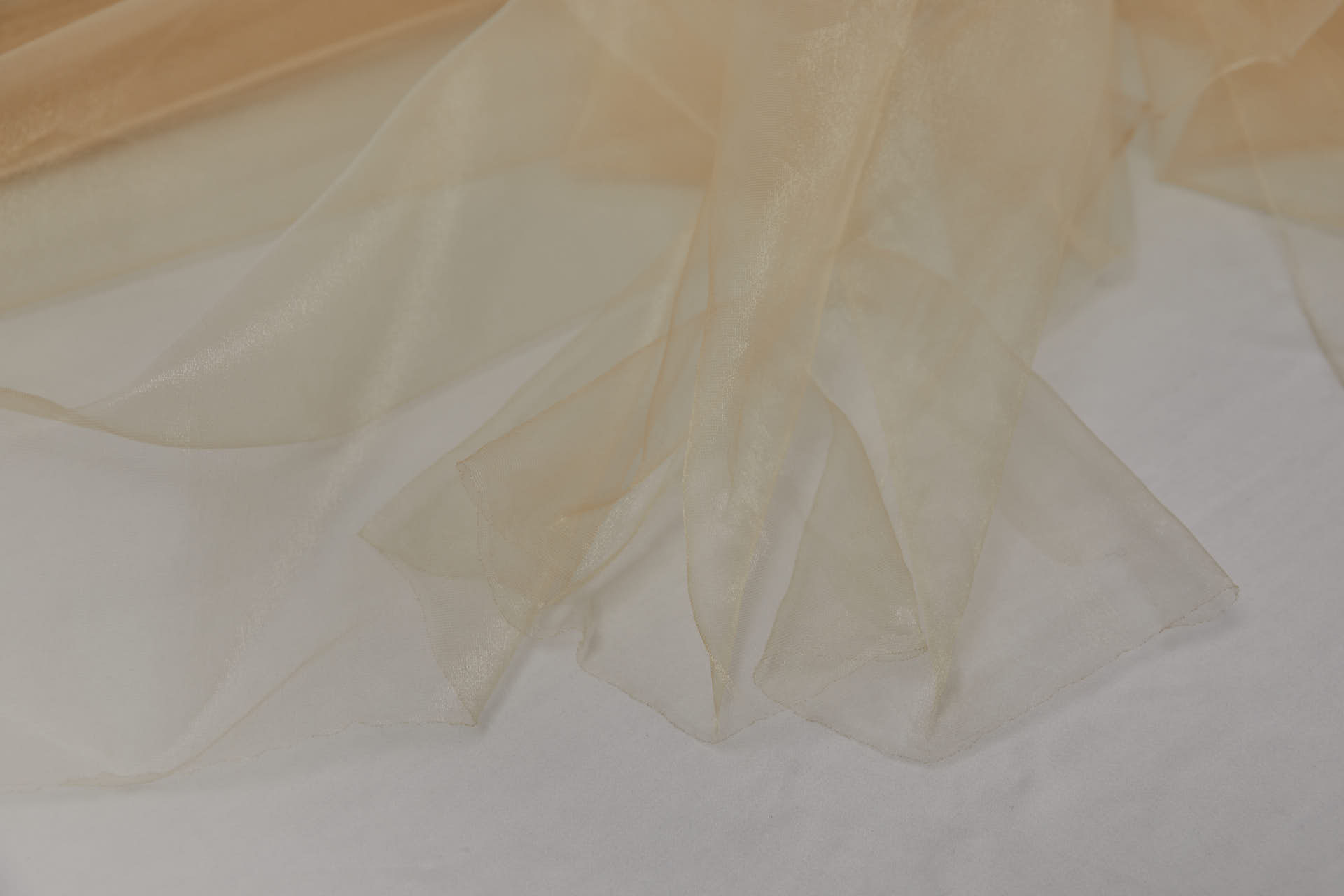 Sheer Nude Organza With Delicate Shimmer fabric, image 7 of 7
