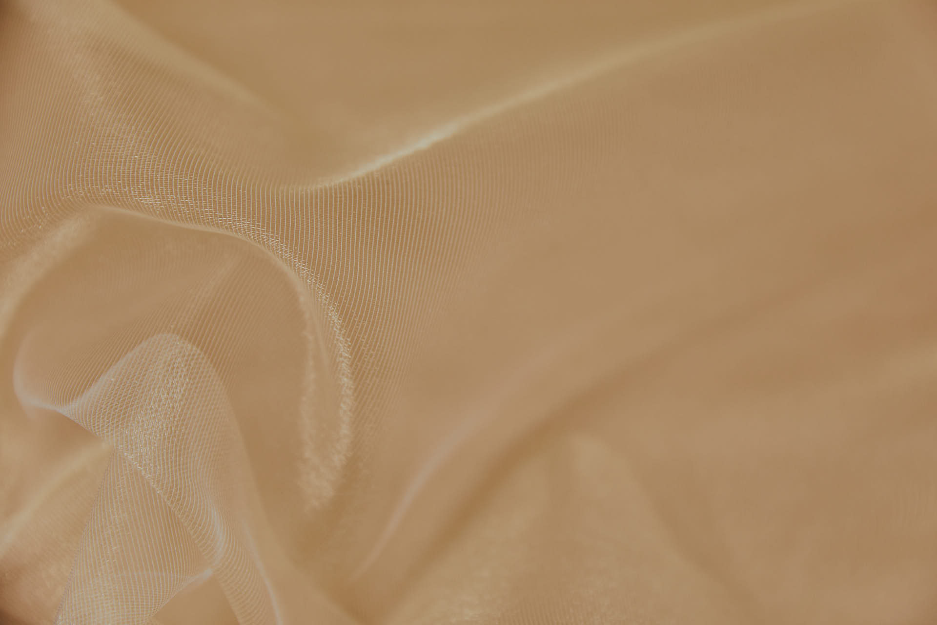 Sheer Nude Organza With Delicate Shimmer fabric