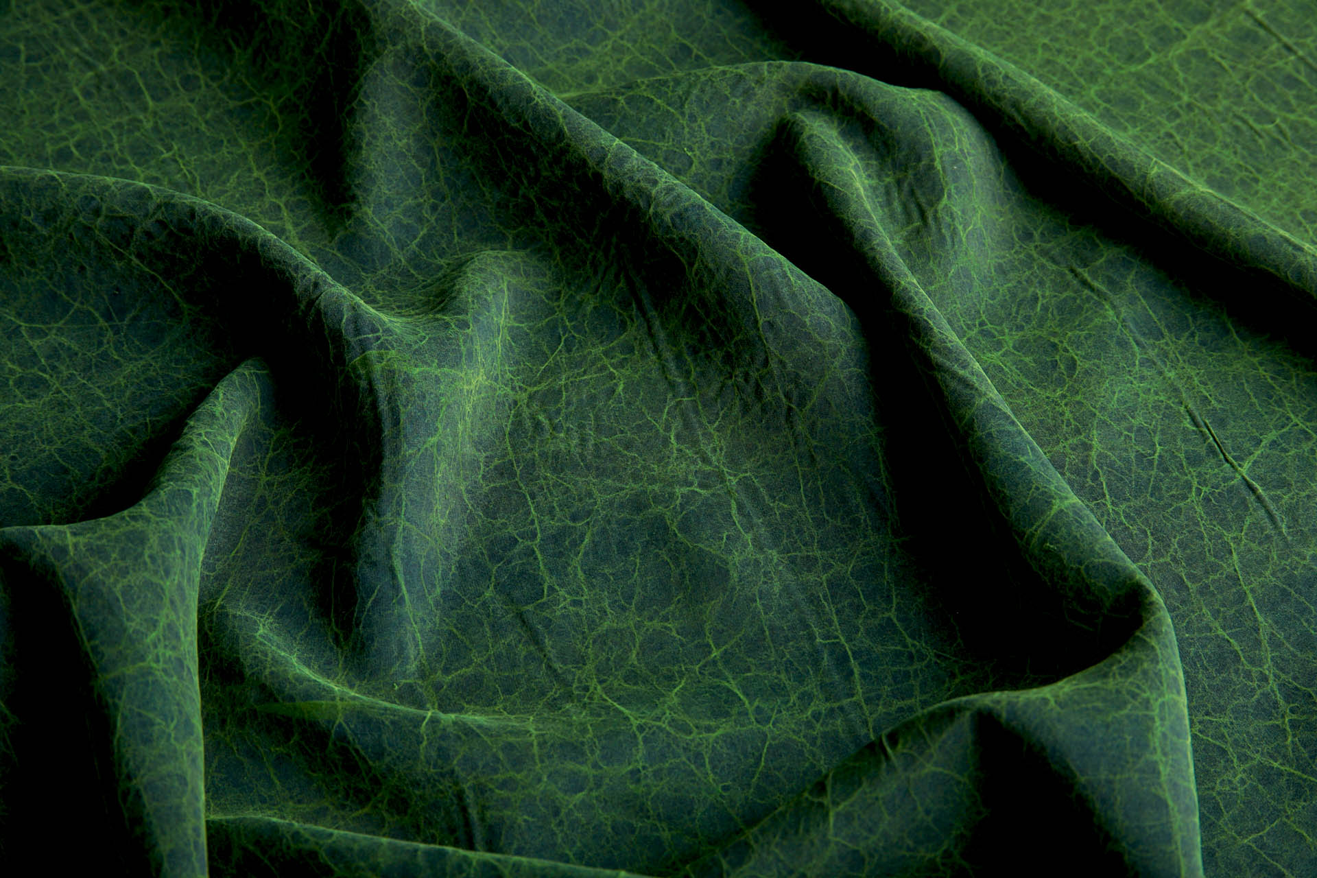 Mud Silk - Habotai - Parsley / Black fabric, image 2 of 11