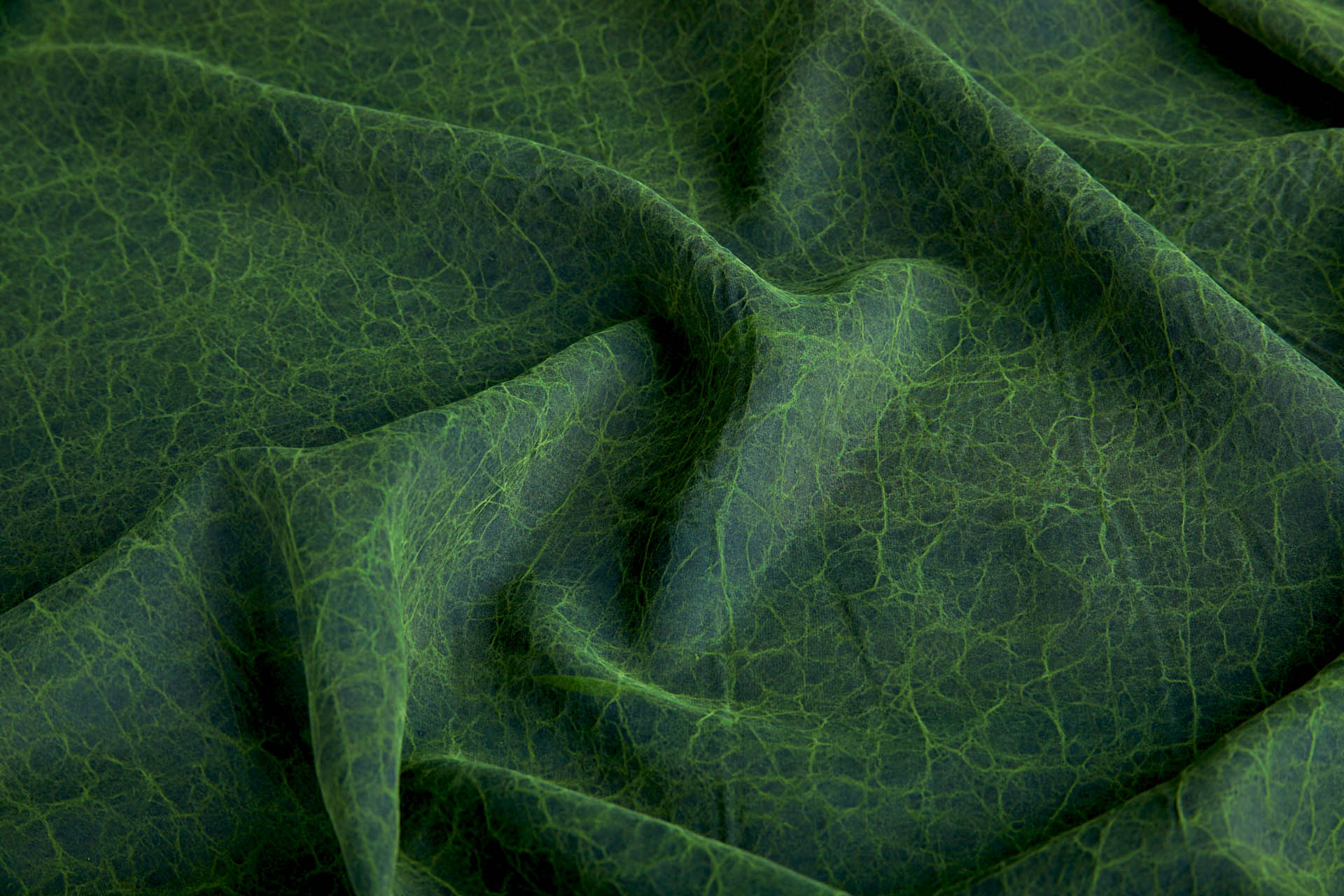 Mud Silk - Habotai - Parsley / Black fabric, image 4 of 11