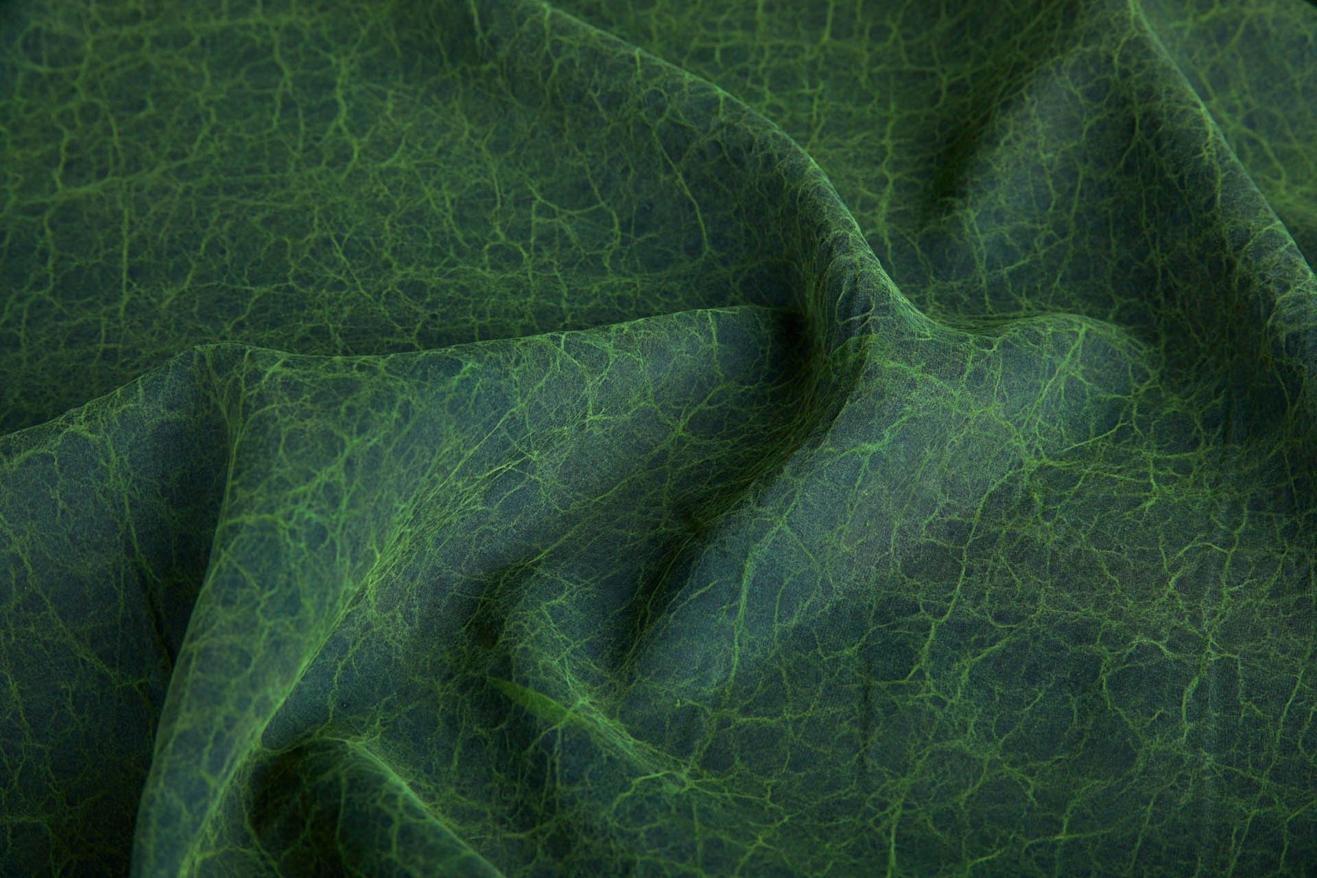 Mud Silk - Habotai - Parsley / Black fabric, image 7 of 11