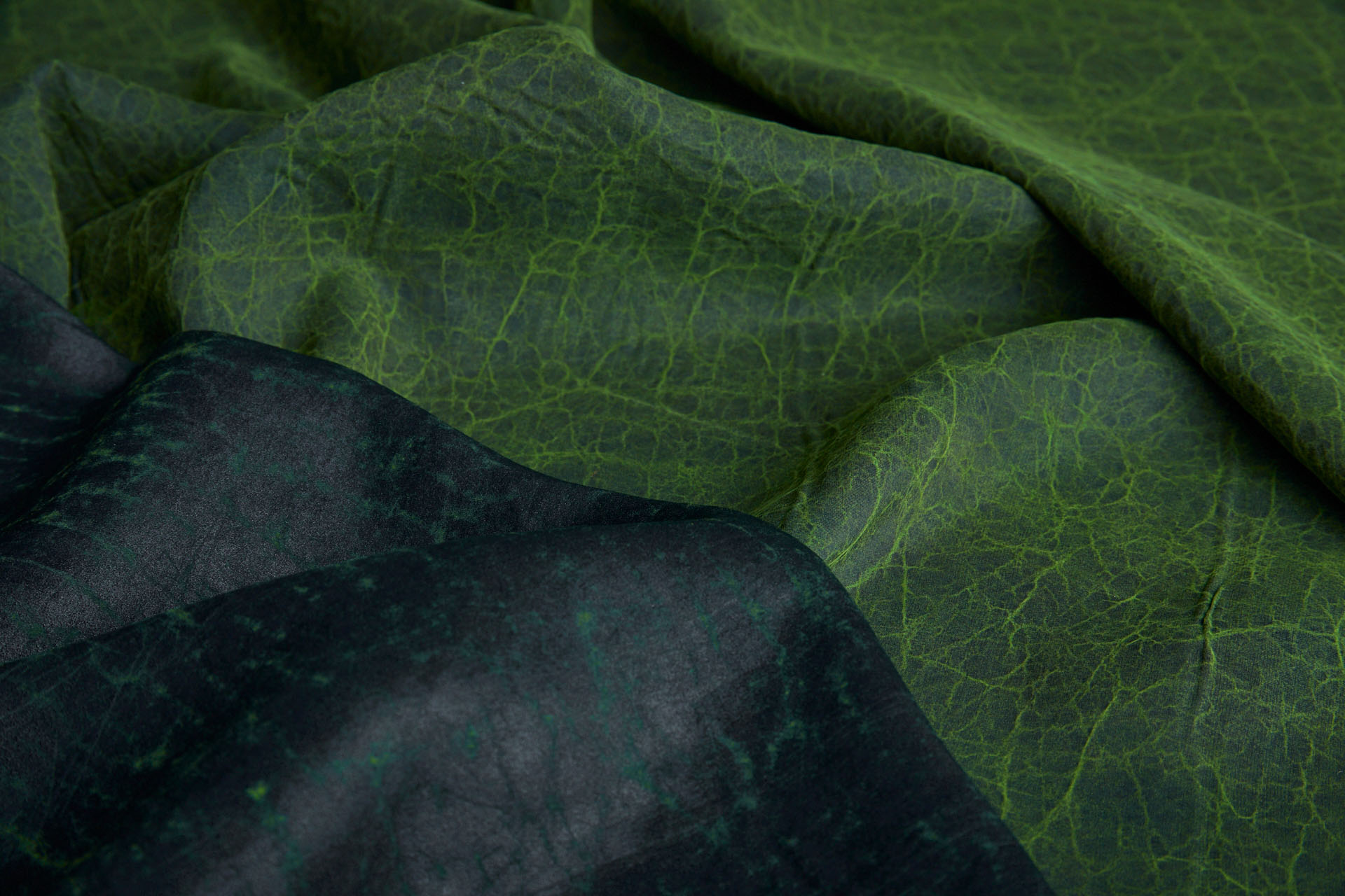 Mud Silk - Habotai - Parsley / Black fabric, image 5 of 11