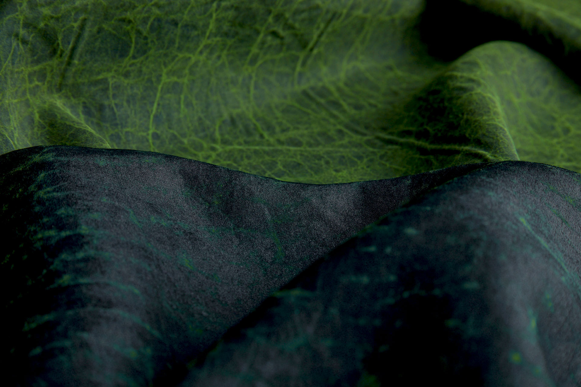 Mud Silk - Habotai - Parsley / Black fabric, image 8 of 11