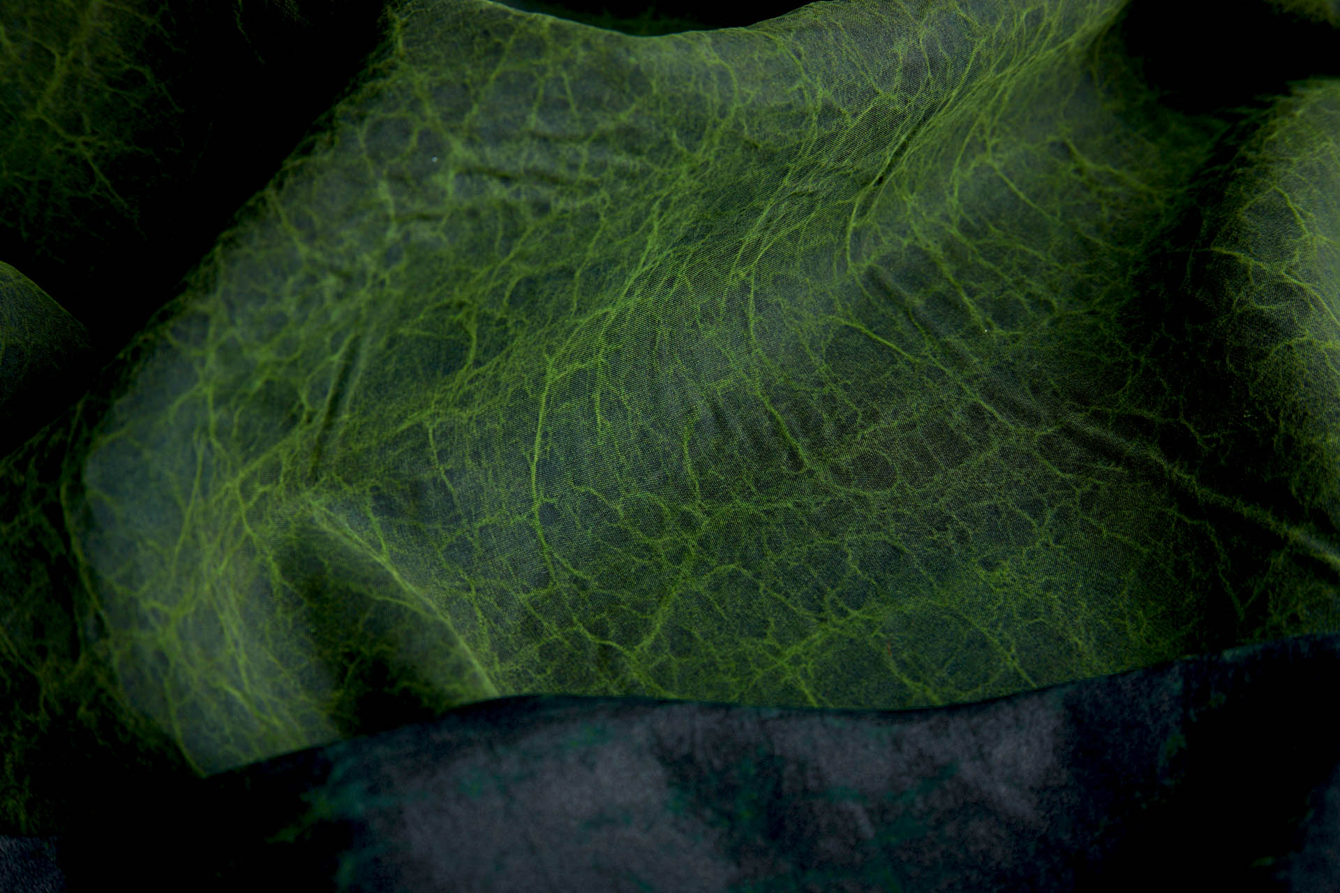 Mud Silk - Habotai - Parsley / Black fabric, image 10 of 11