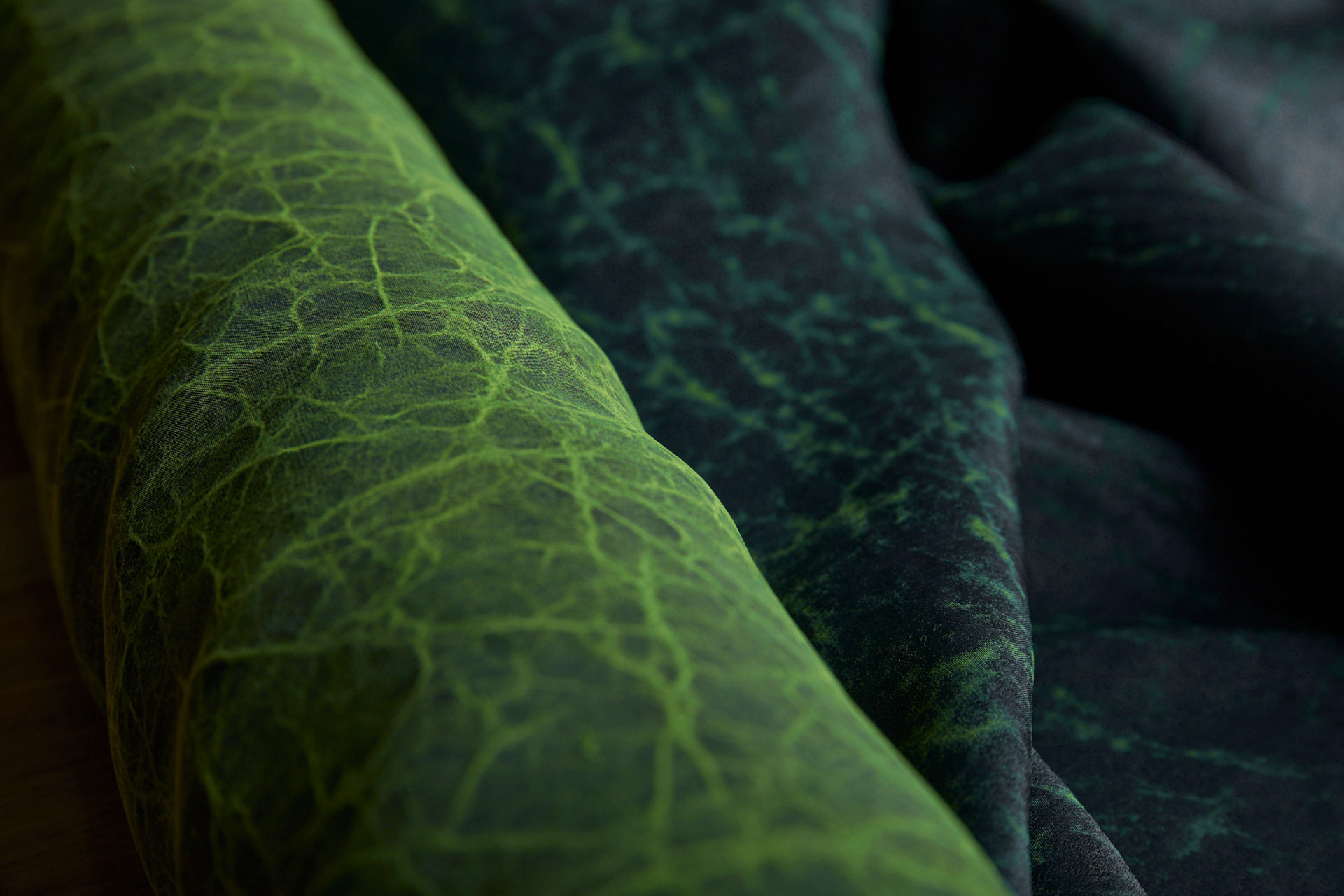 Mud Silk - Habotai - Parsley / Black fabric, image 11 of 11