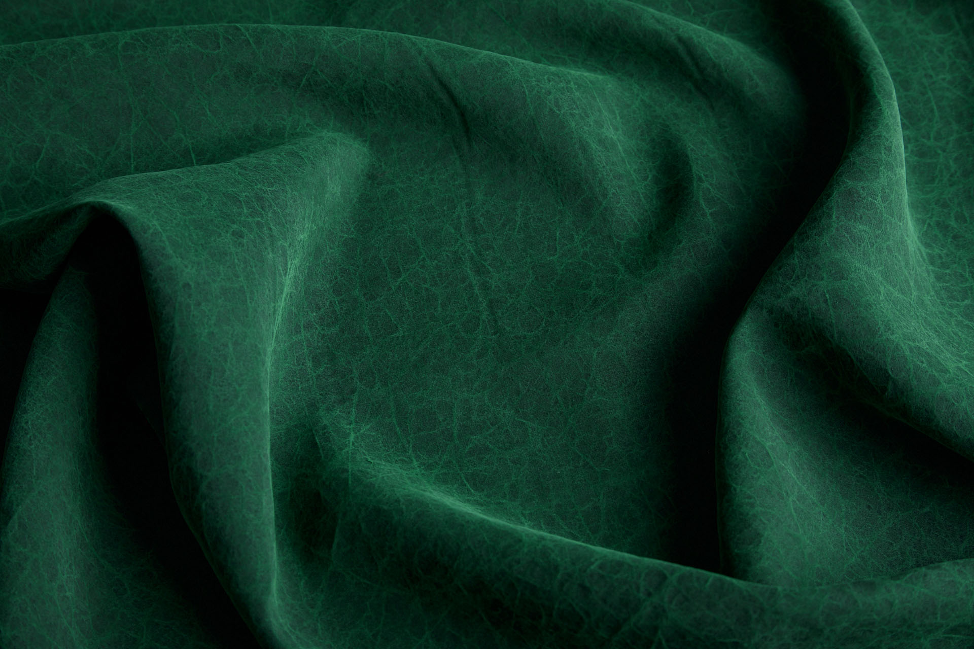 Mud Silk - Habotai - Japanese Laurel / Black fabric, image 2 of 12
