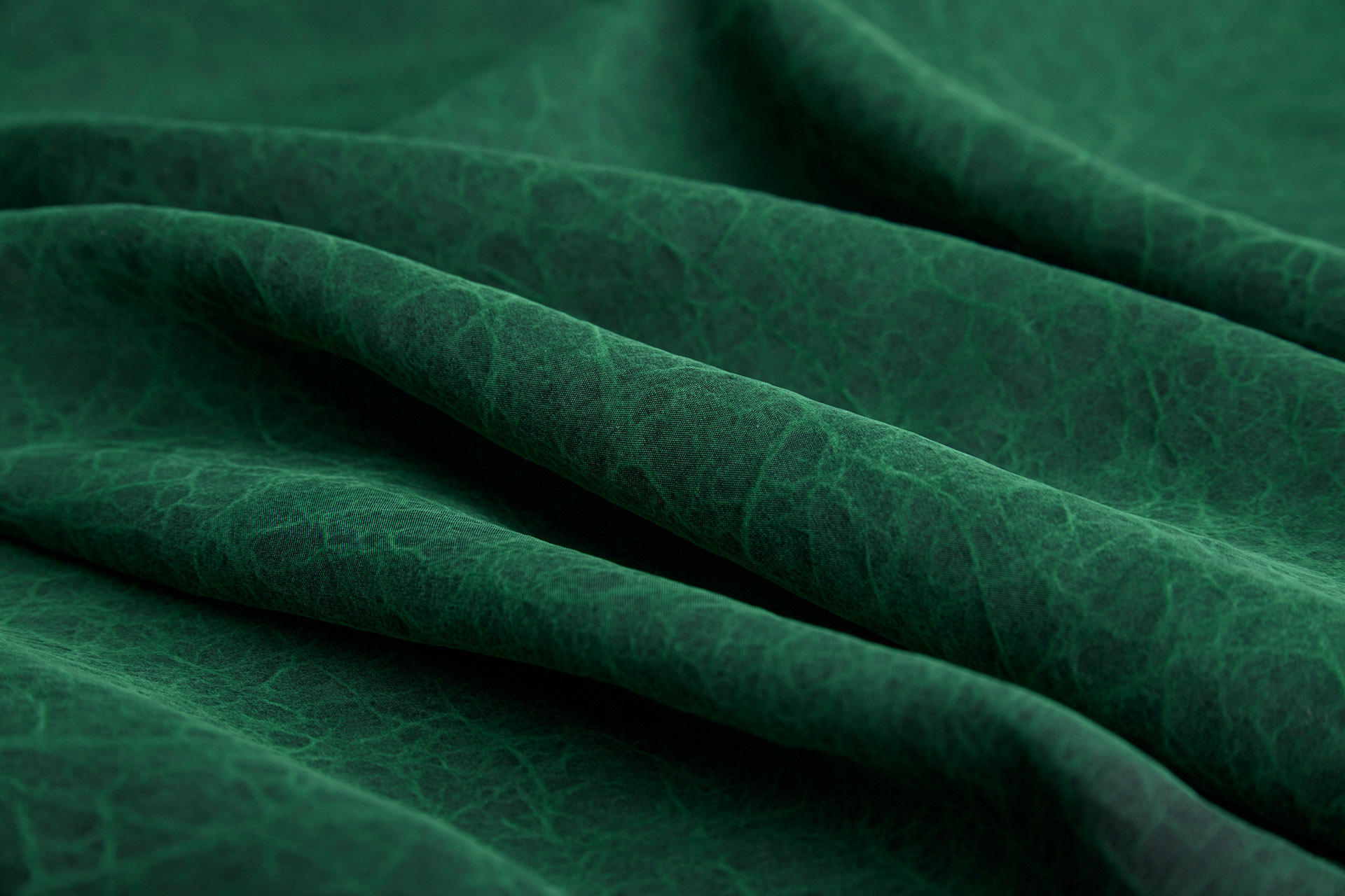 Mud Silk - Habotai - Japanese Laurel / Black fabric, image 7 of 12