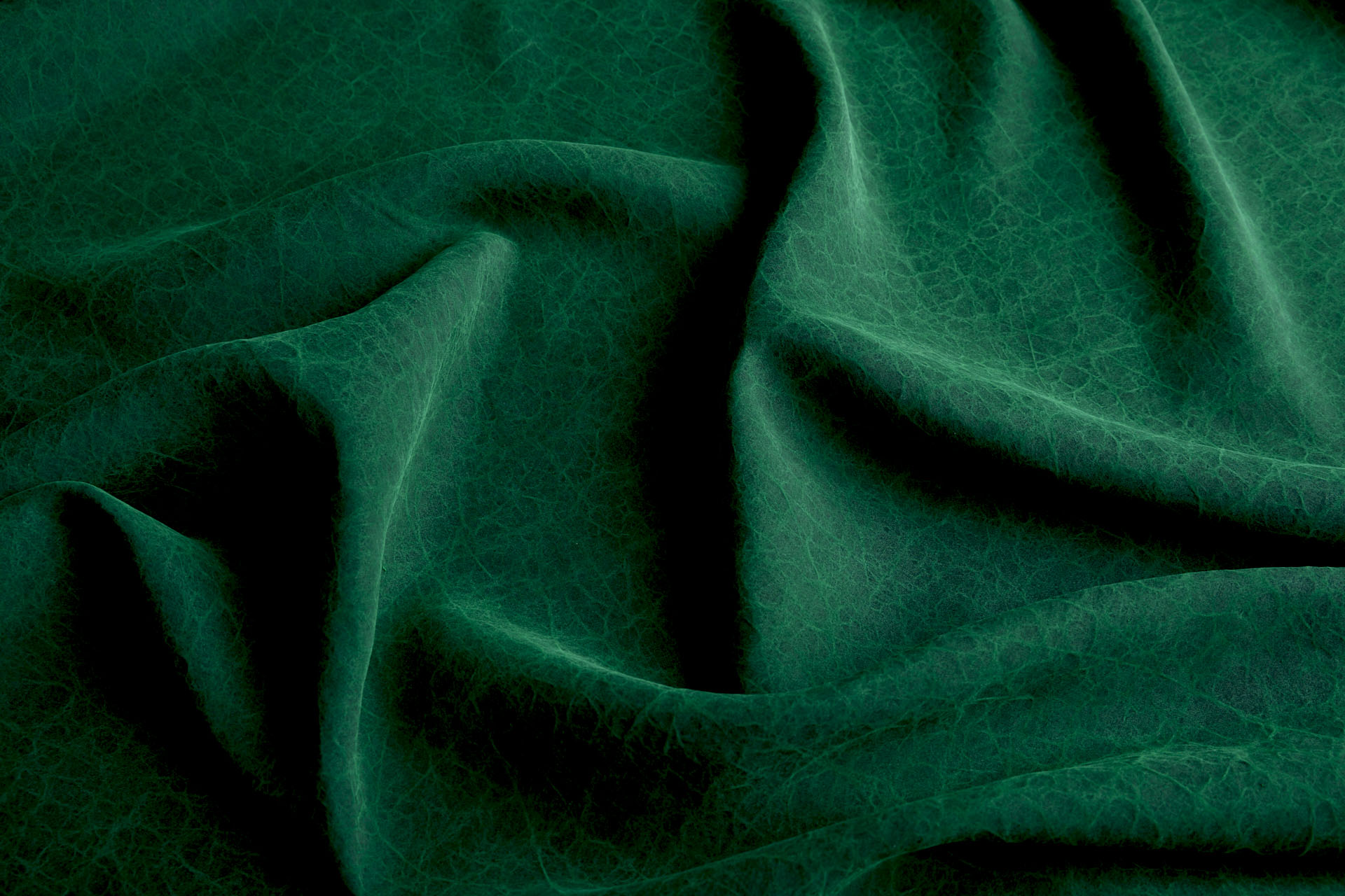 Mud Silk - Habotai - Japanese Laurel / Black fabric, image 10 of 12