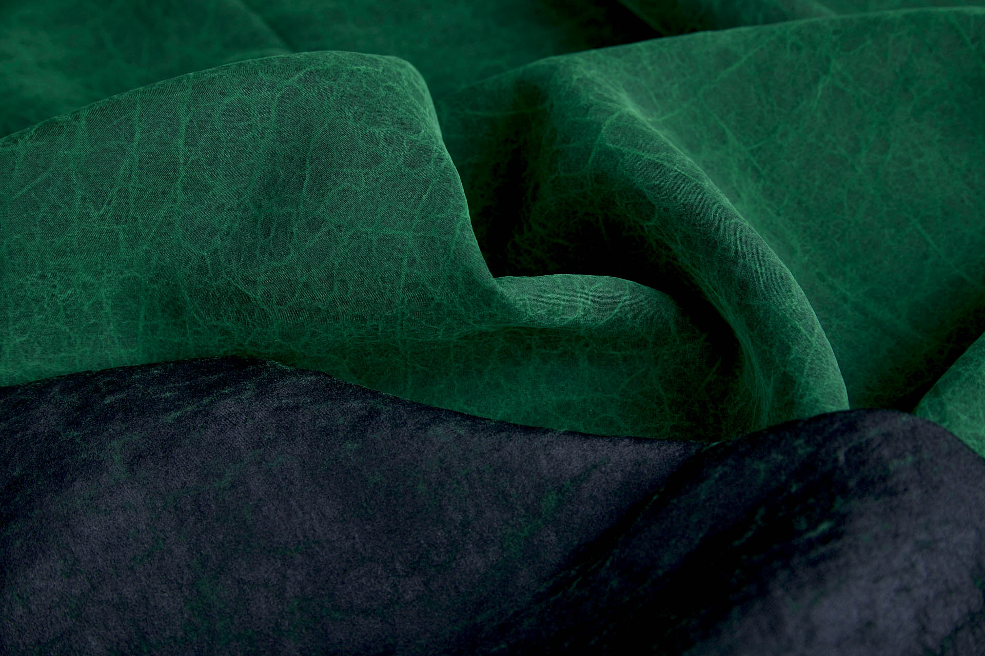 Mud Silk - Habotai - Japanese Laurel / Black fabric, image 8 of 12