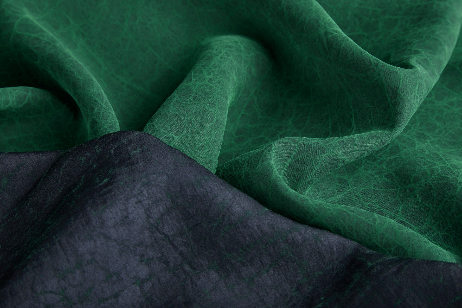 Mud Silk - Habotai - Japanese Laurel / Black fabric