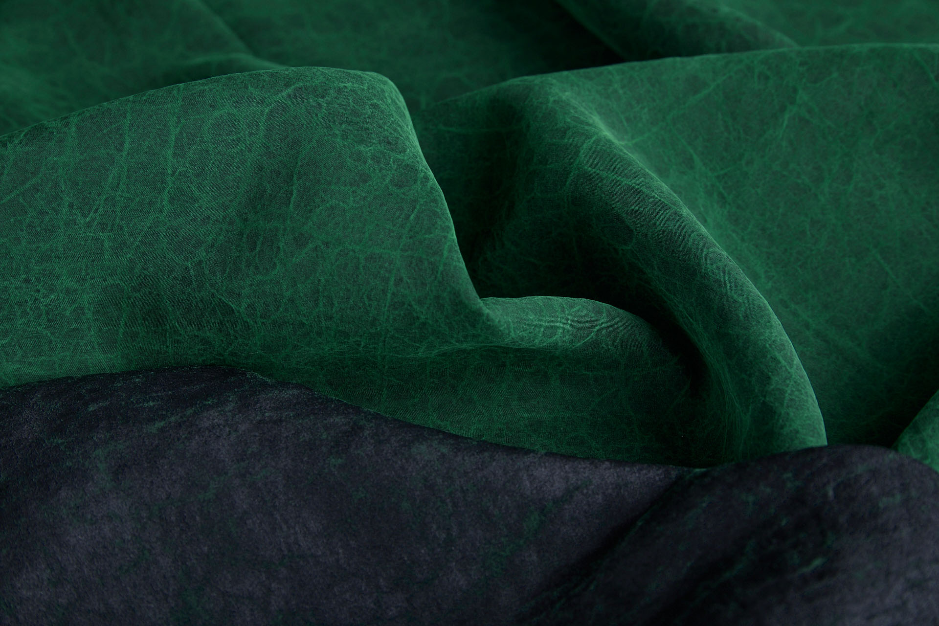 Mud Silk - Habotai - Japanese Laurel / Black fabric, image 11 of 12