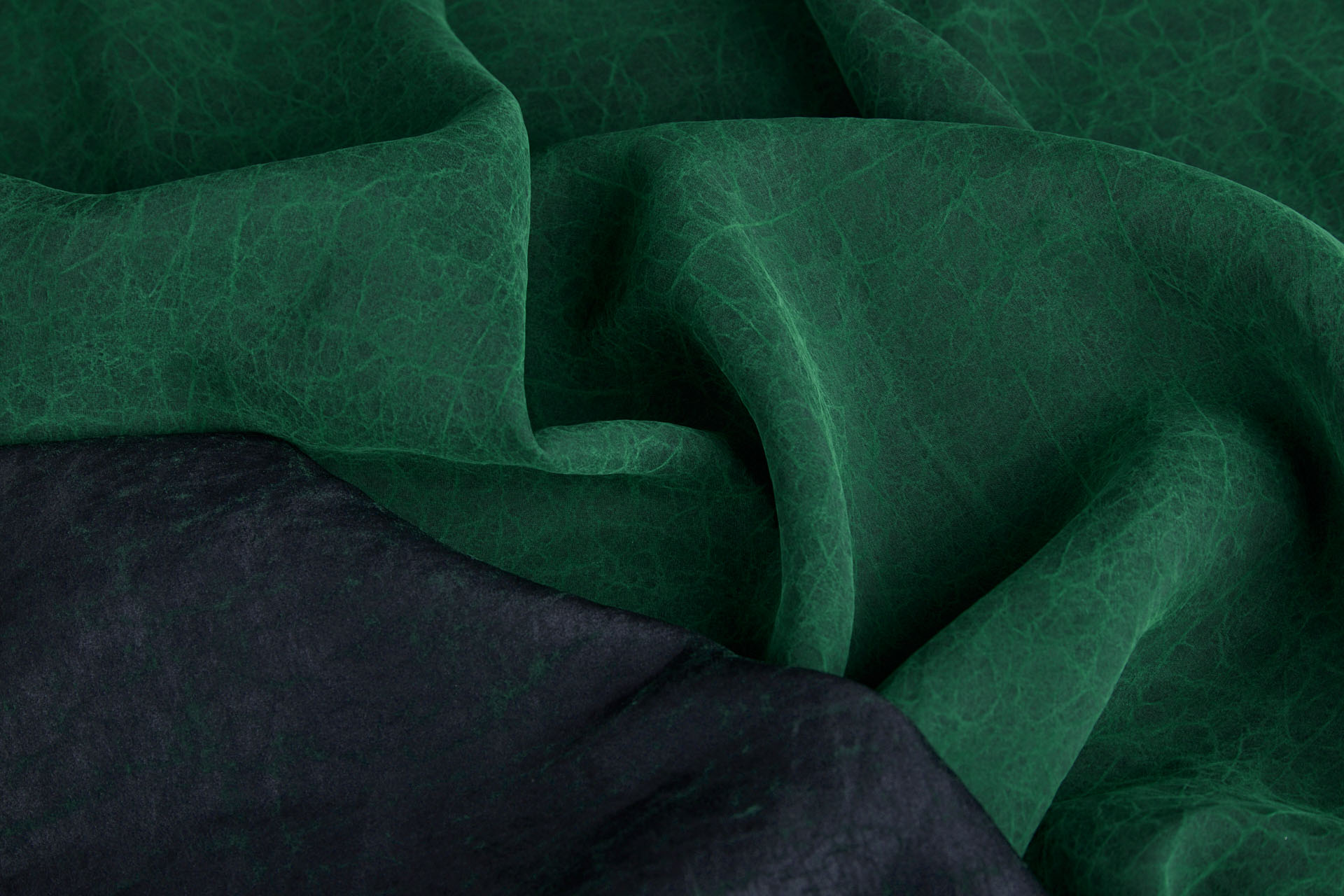 Mud Silk - Habotai - Japanese Laurel / Black fabric, image 5 of 12