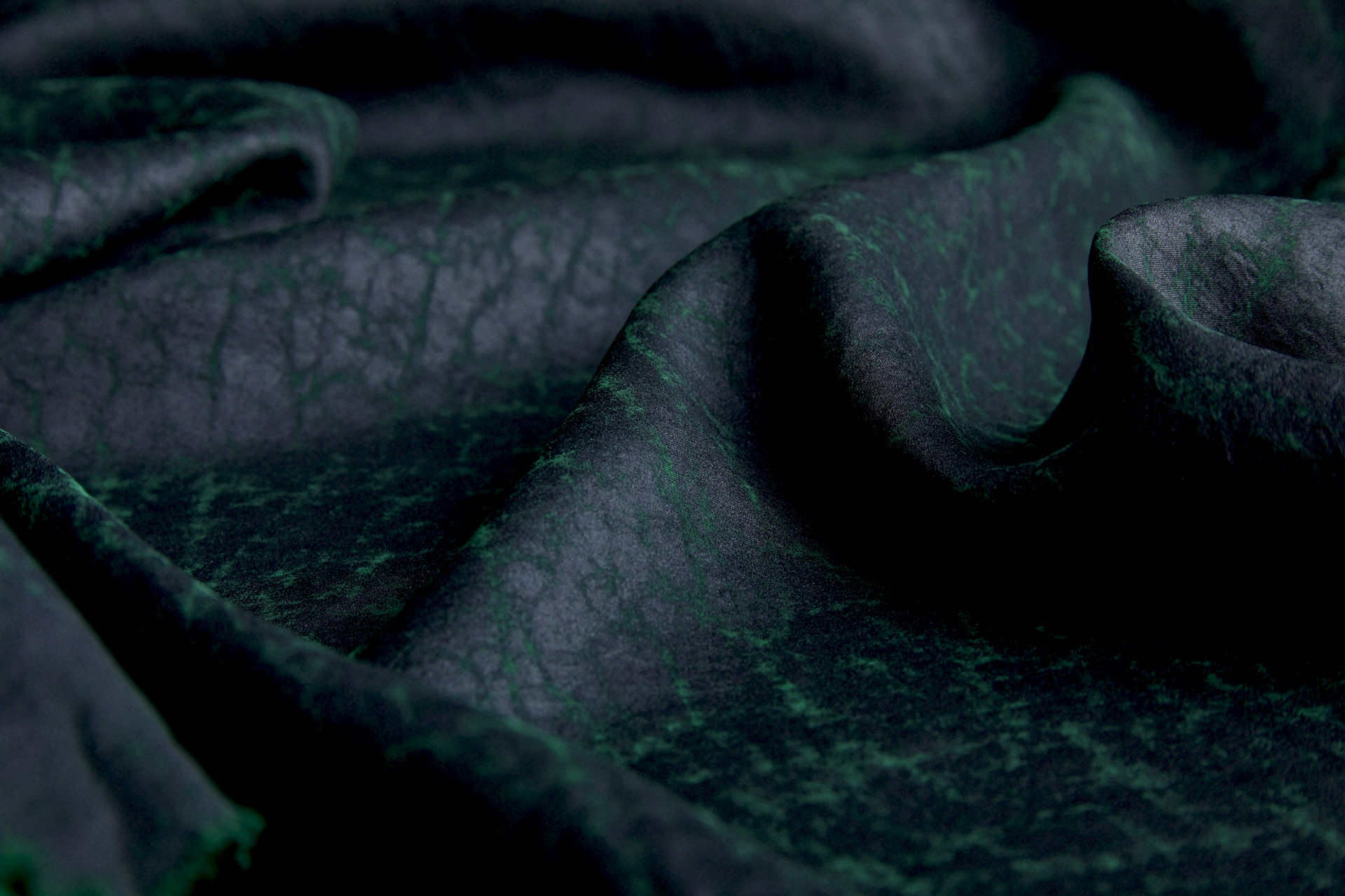 Mud Silk - Habotai - Japanese Laurel / Black fabric, image 3 of 12