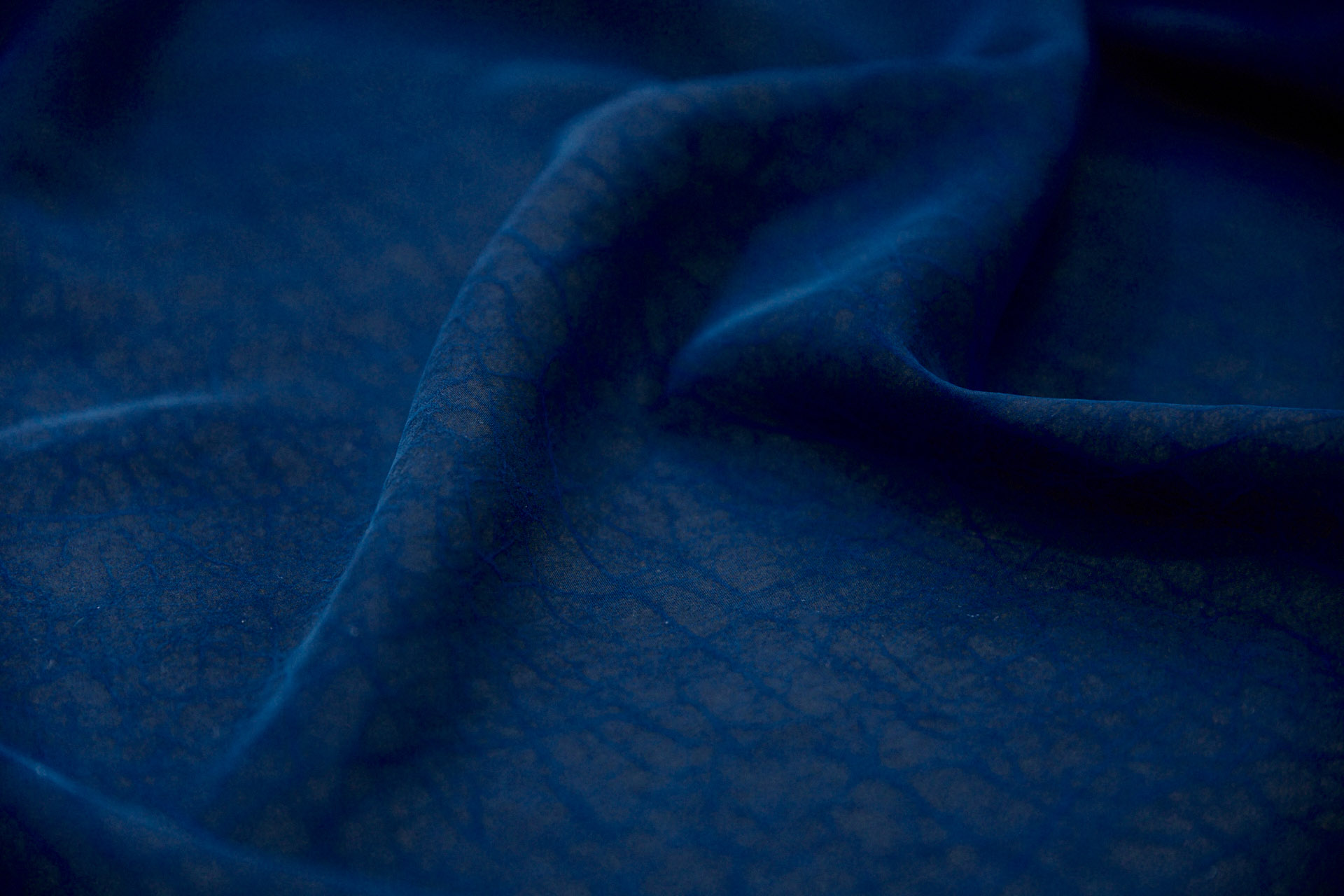 Mud Silk - Habotai - Electric Blue / Black fabric, image 2 of 11