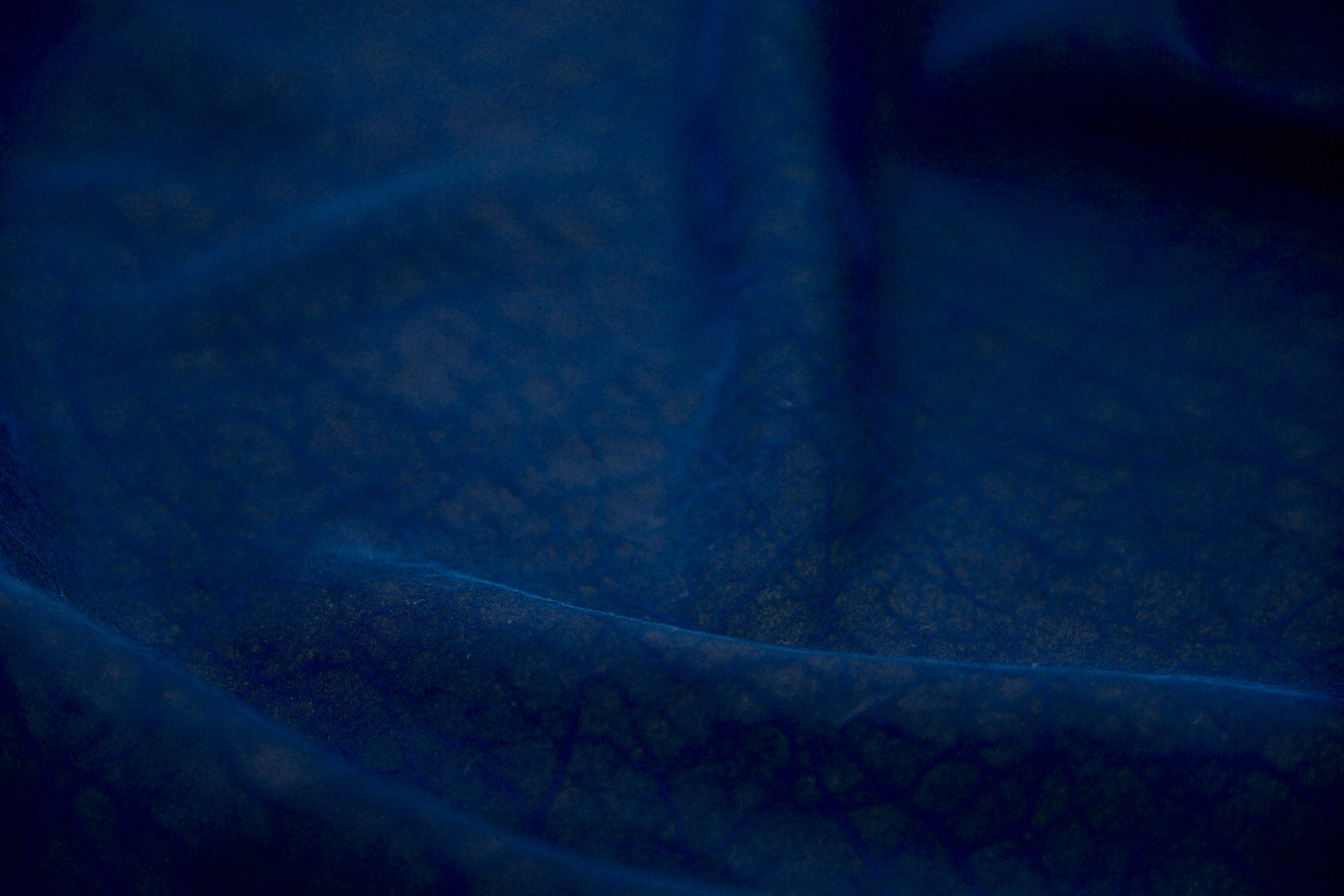 Mud Silk - Habotai - Electric Blue / Black fabric, image 7 of 11