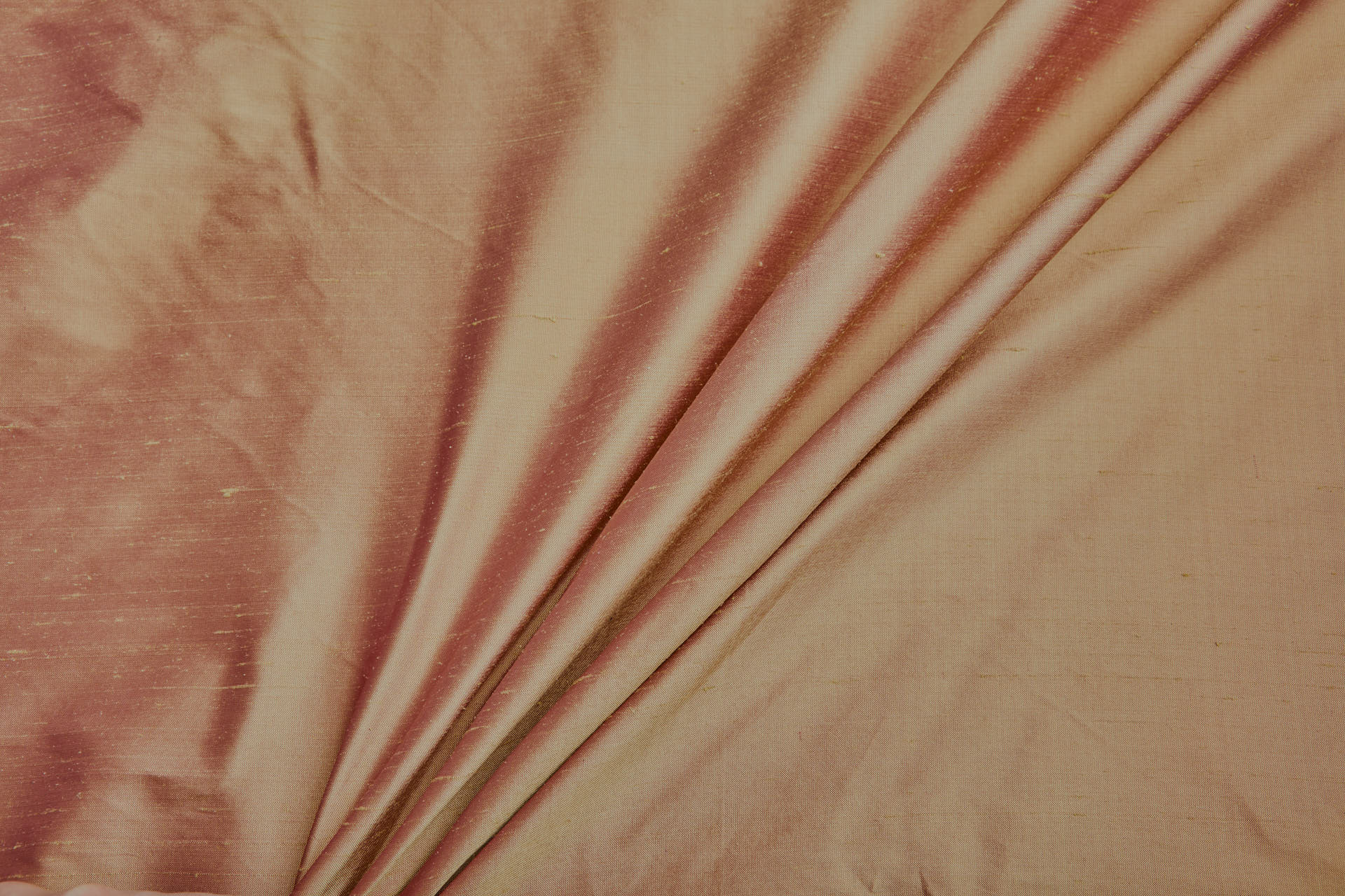 Silk Dupion - Pink shot Pale Yellow fabric, image 3 of 7