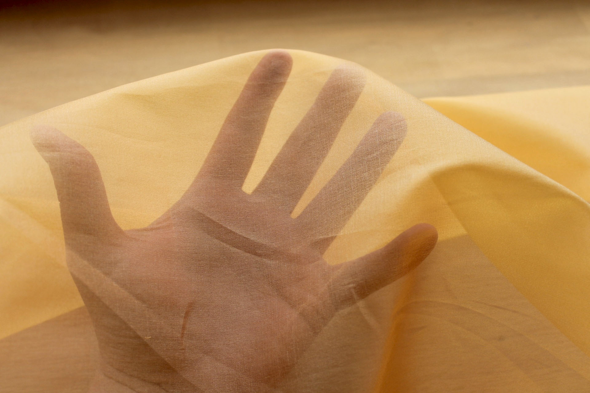 Silk Organza - Egg Yolk Yellow fabric, image 5 of 7