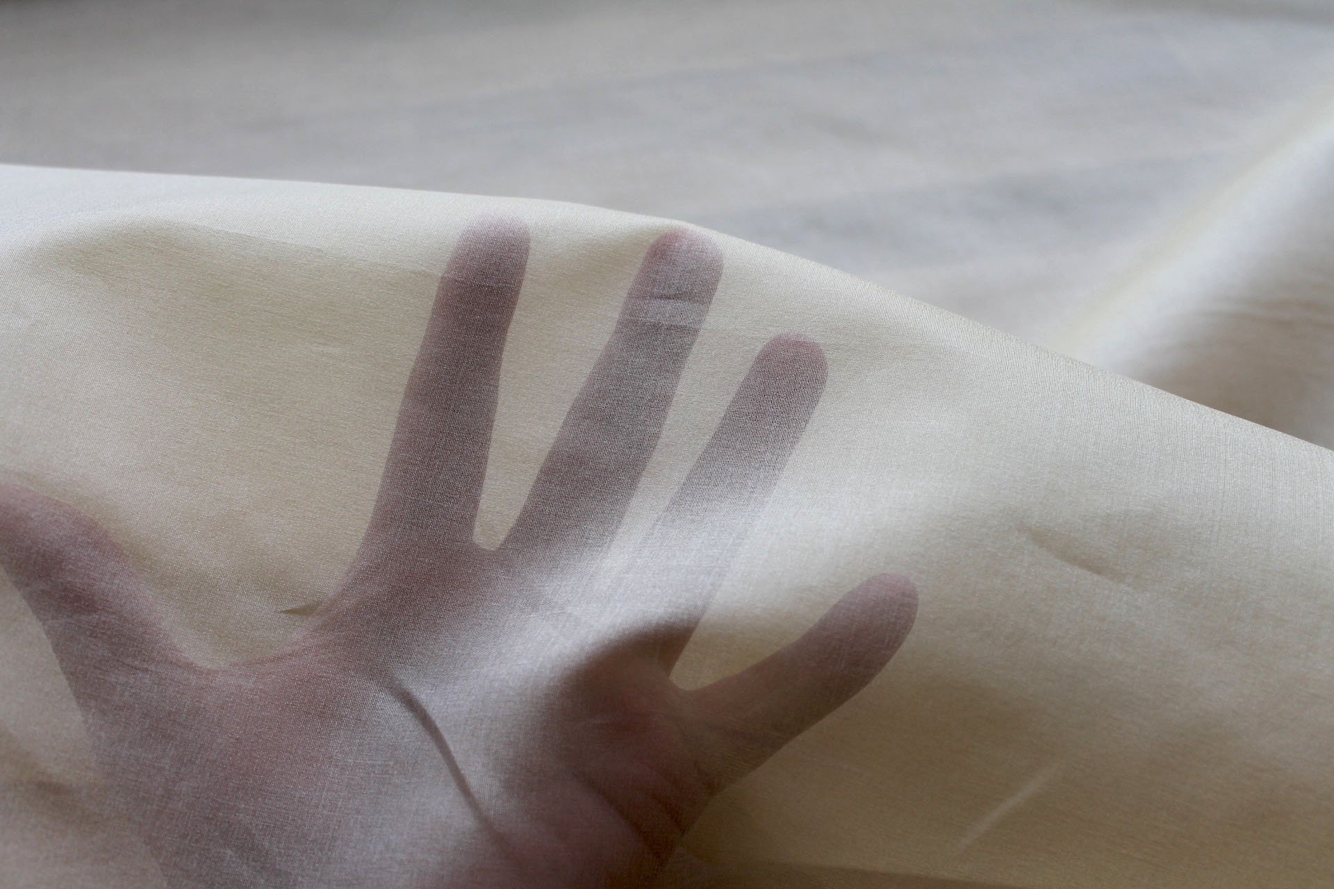 Silk Organza - Pale Gold fabric, image 4 of 7
