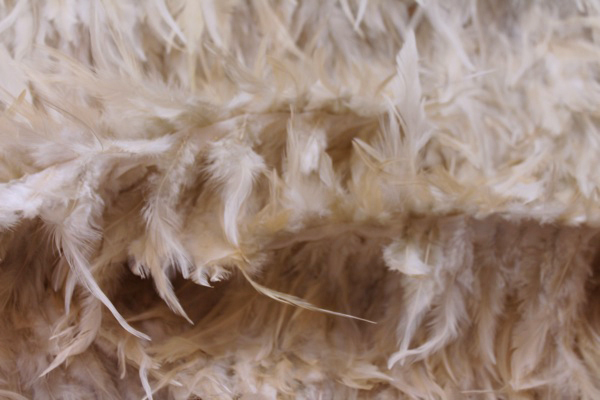 Blush Pink Feathers on Silk Chiffon fabric, image 3 of 5