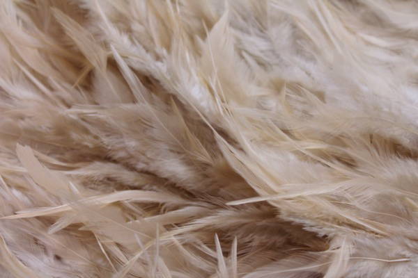 Blush Pink Feathers on Silk Chiffon fabric