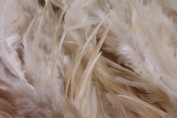Blush Pink Feathers on Silk Chiffon fabric, image 5 of 5