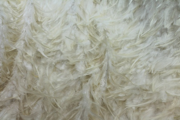Ivory (Natural) Feathers on Silk Chiffon fabric, image 7 of 7