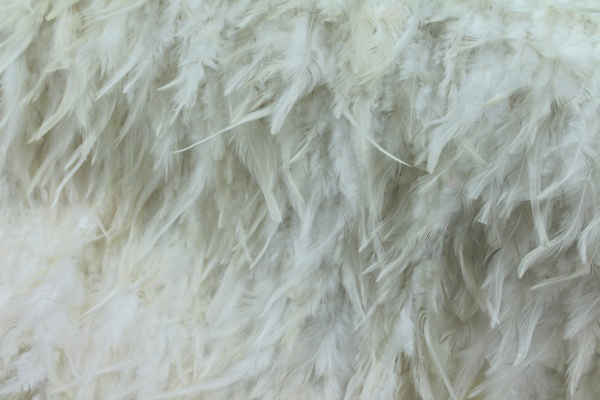 Ivory (Natural) Feathers on Silk Chiffon fabric, image 2 of 7