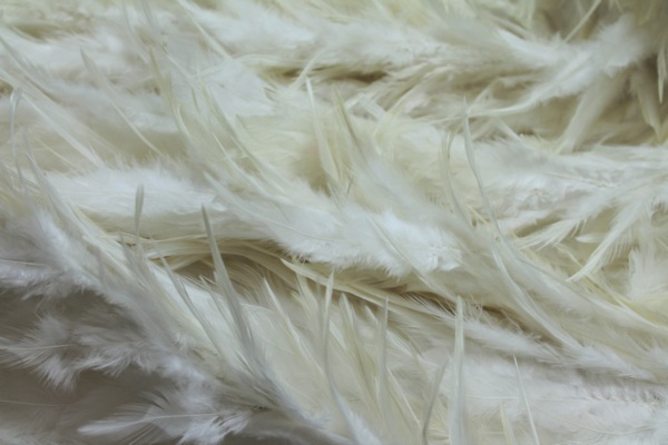Ivory (Natural) Feathers on Silk Chiffon fabric, image 5 of 7