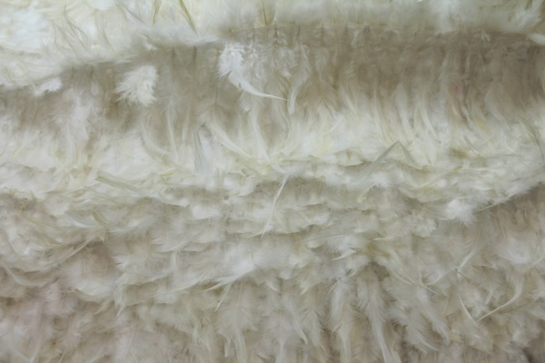 Ivory (Natural) Feathers on Silk Chiffon fabric, image 4 of 7