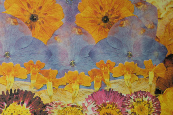 Art Print on Cotton Drill - Flowers in Pink, Yellow, Blue and Red fabric, image 2 of 5
