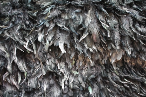 Black Feathers on Silk Chiffon fabric, image 5 of 6