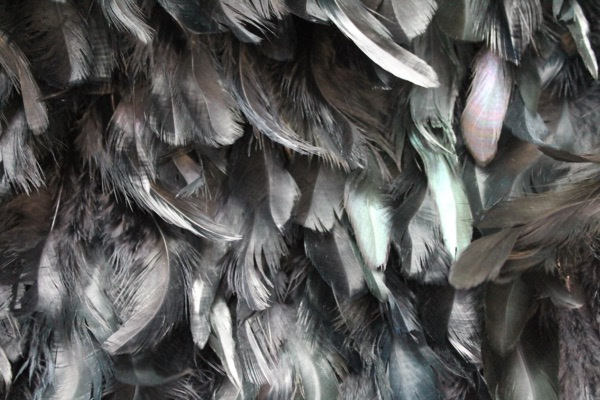 Black Feathers on Silk Chiffon fabric, image 6 of 6