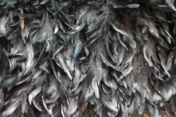 Black Feathers on Silk Chiffon fabric, image 4 of 6