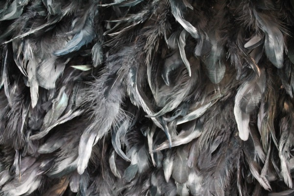 Black Feathers on Silk Chiffon fabric, image 3 of 6