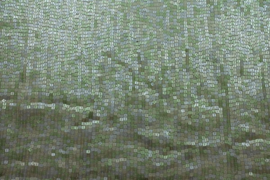 Small Square Sequin on Silk Chiffon - Pastel green fabric, image 4 of 6